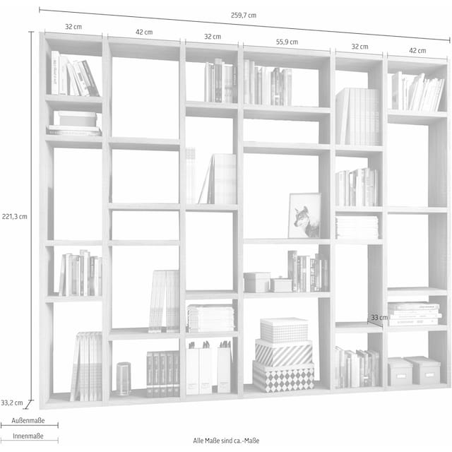 fif möbel Raumteilerregal »TORO 381«, Breite 260 cm bequem kaufen