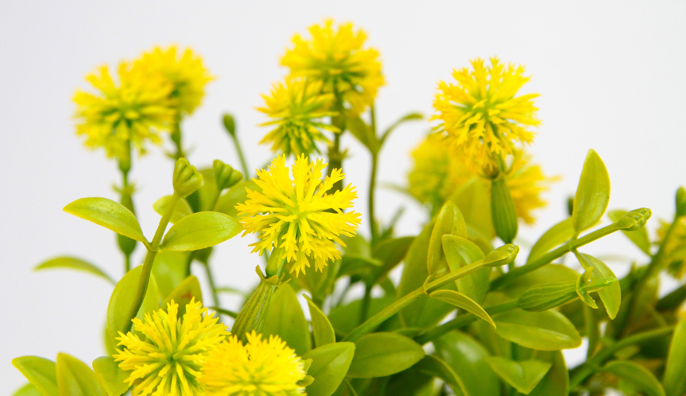 I.GE.A. Kunstpflanze »Margerite im Topf«, Künstliche Blumen Blütenbusch Busch Tischdeko Pflanze Kunstblumen Deko
