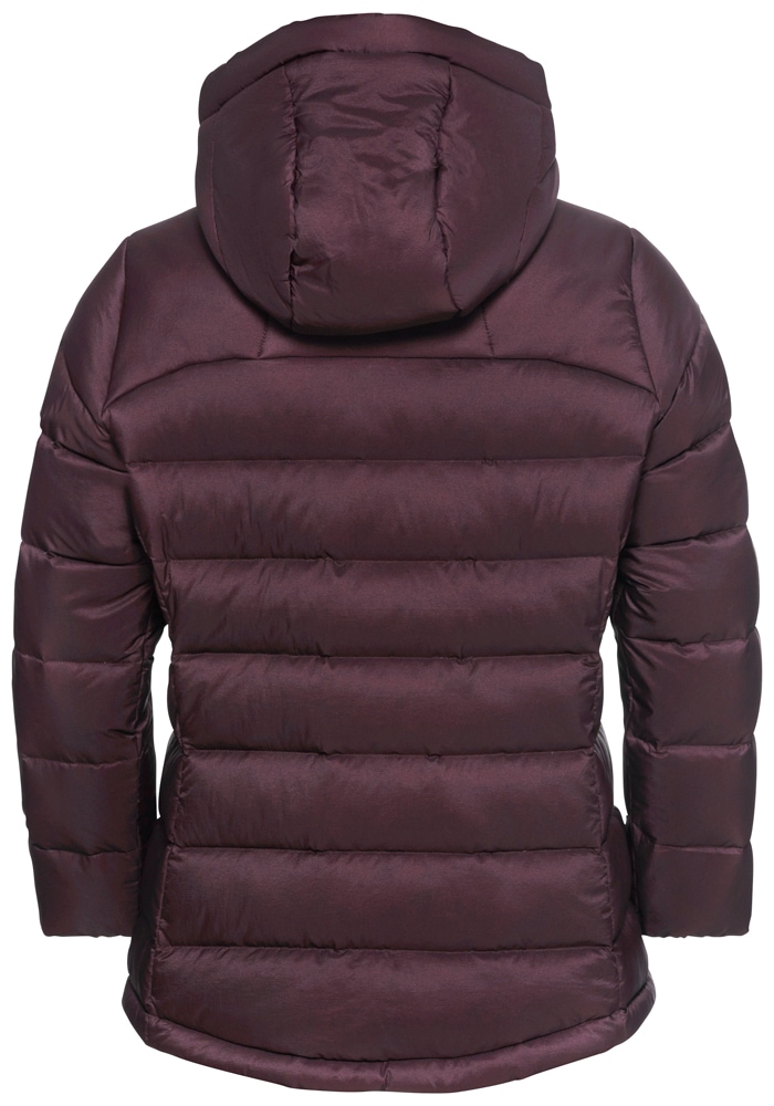 Jack Wolfskin Daunenjacke »NEBELHORN DOWN HOODY W RDS«, mit Kapuze