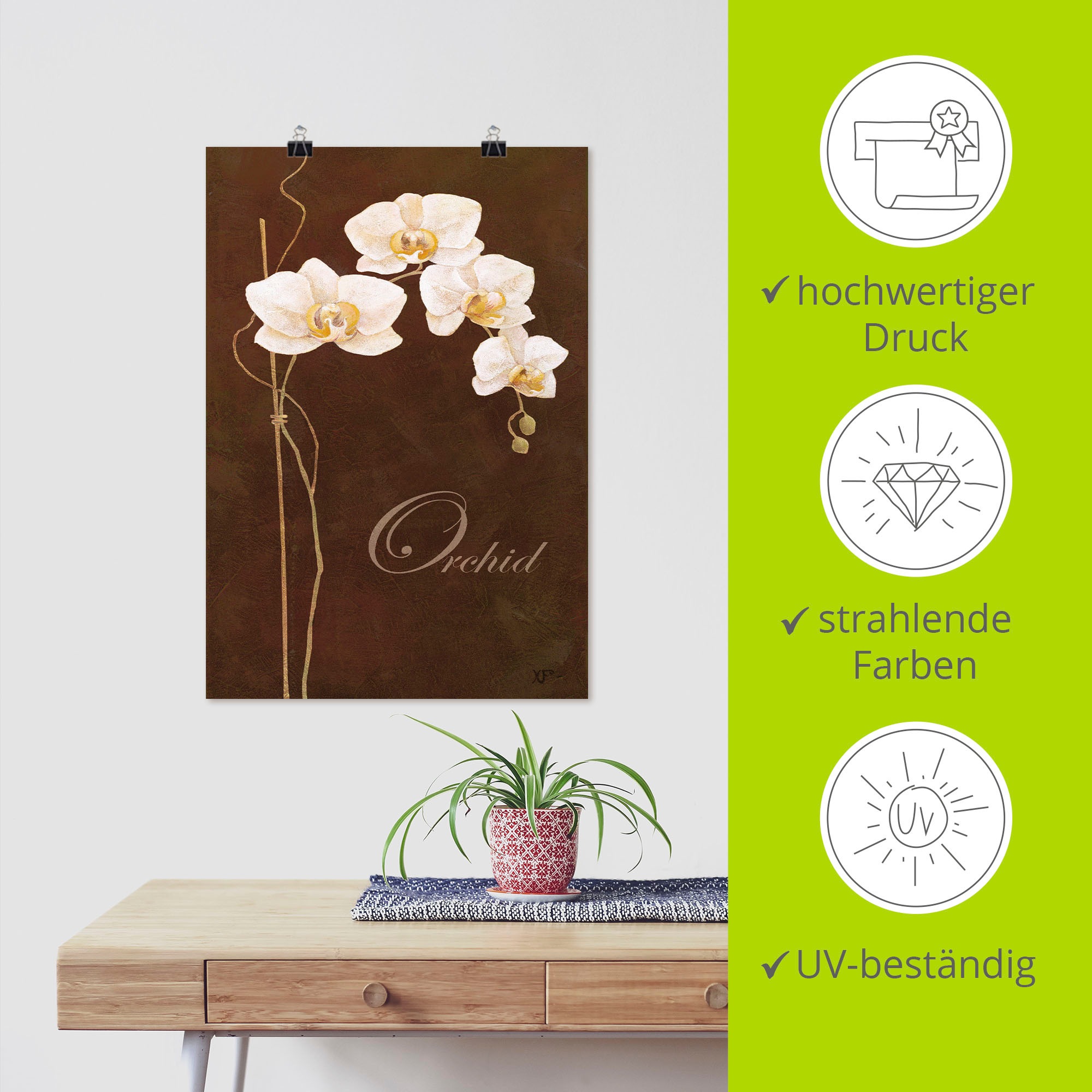 Artland Wandbild »Zarte Orchidee«, Blumen, (1 St.), als Leinwandbild, Poster in verschied. Größen