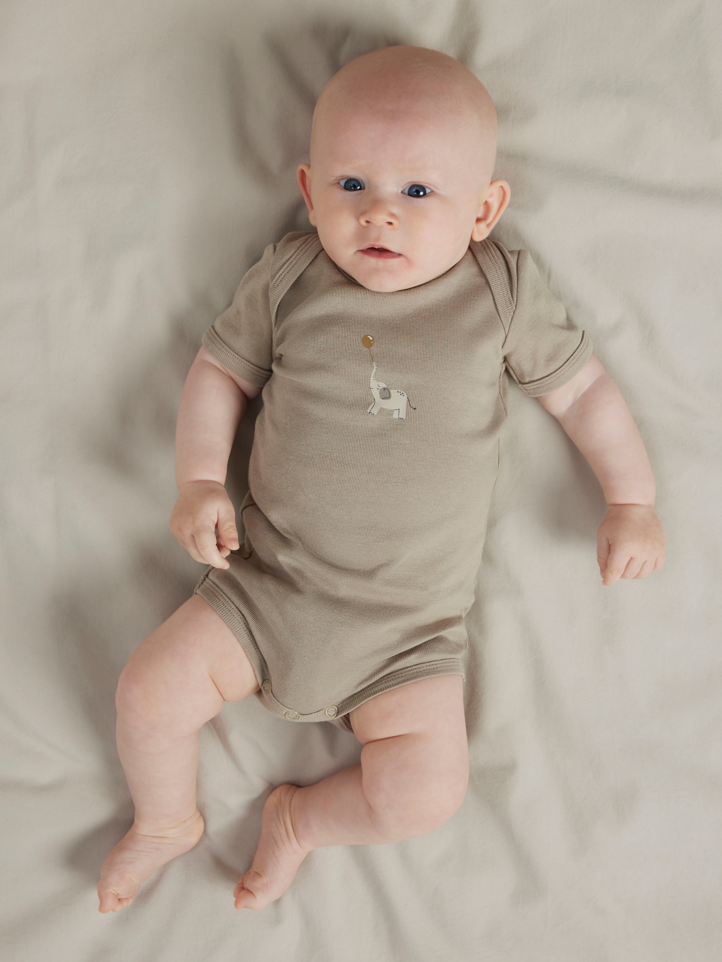 Name It Kurzarmbody »NBNBODY 3P SS ANIMAL NOOS« Packung, 3 tlg.