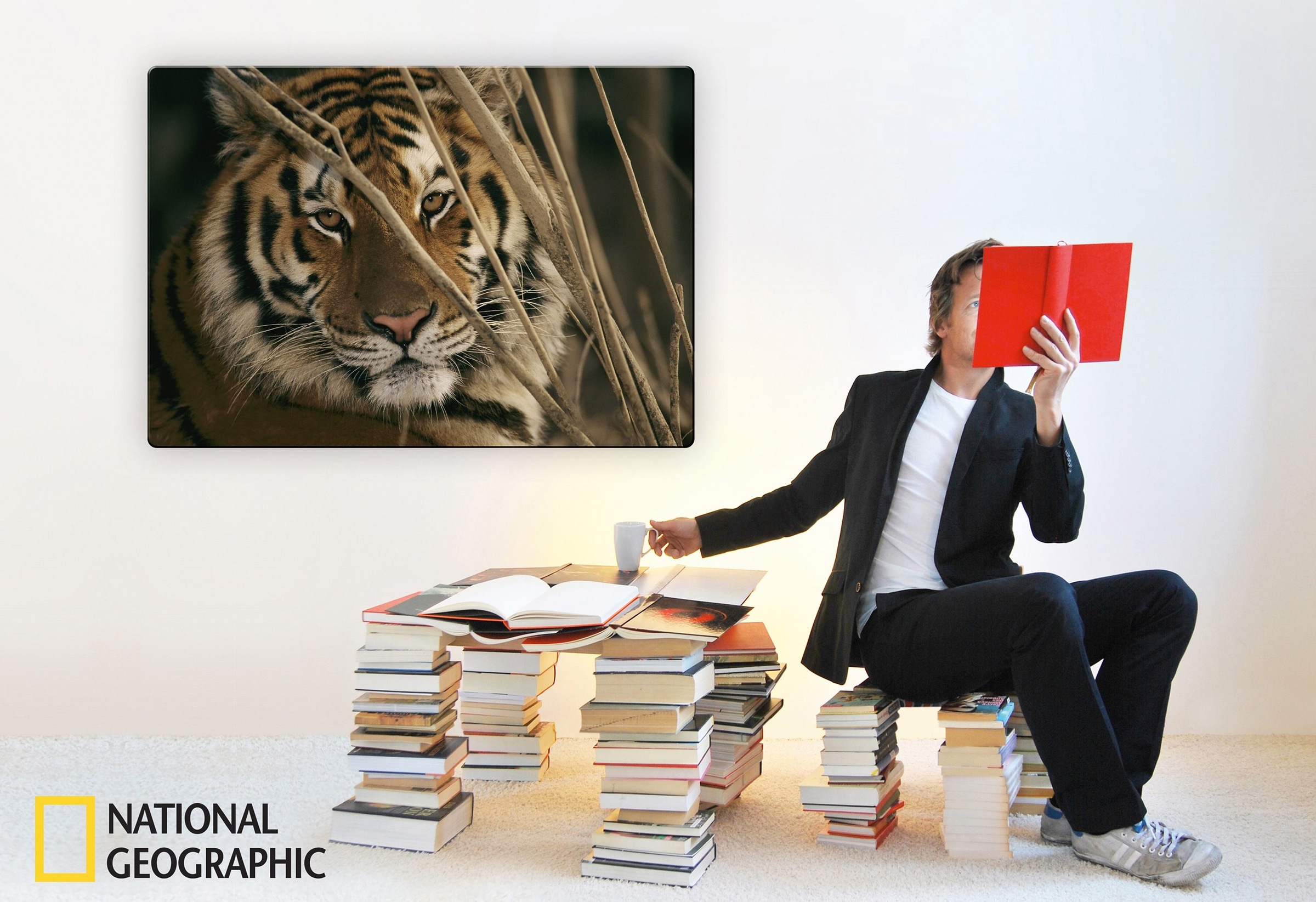oder cm 60/40 kaufen cm Wall-Art Glasbild Raten »Tiger«, auf 100/70