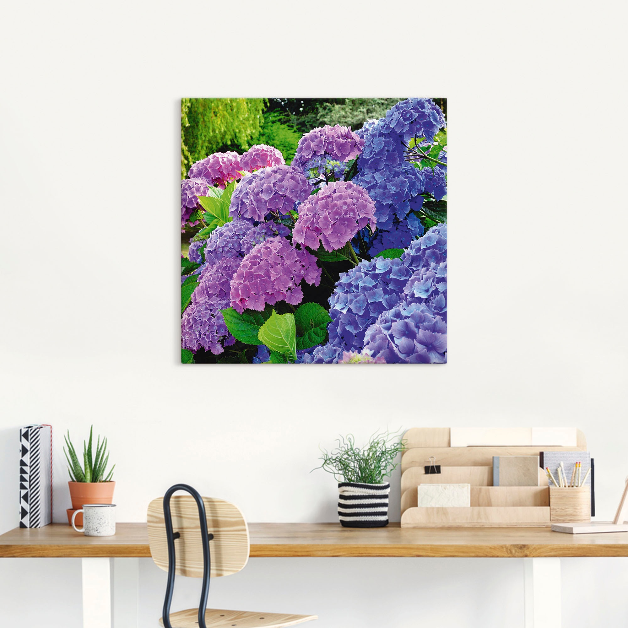 Artland Wandbild »Hortensien im Garten« Blumen 1 Stk. tlg. als Alubild, Leinwandbild, Poster in verschied. Größen