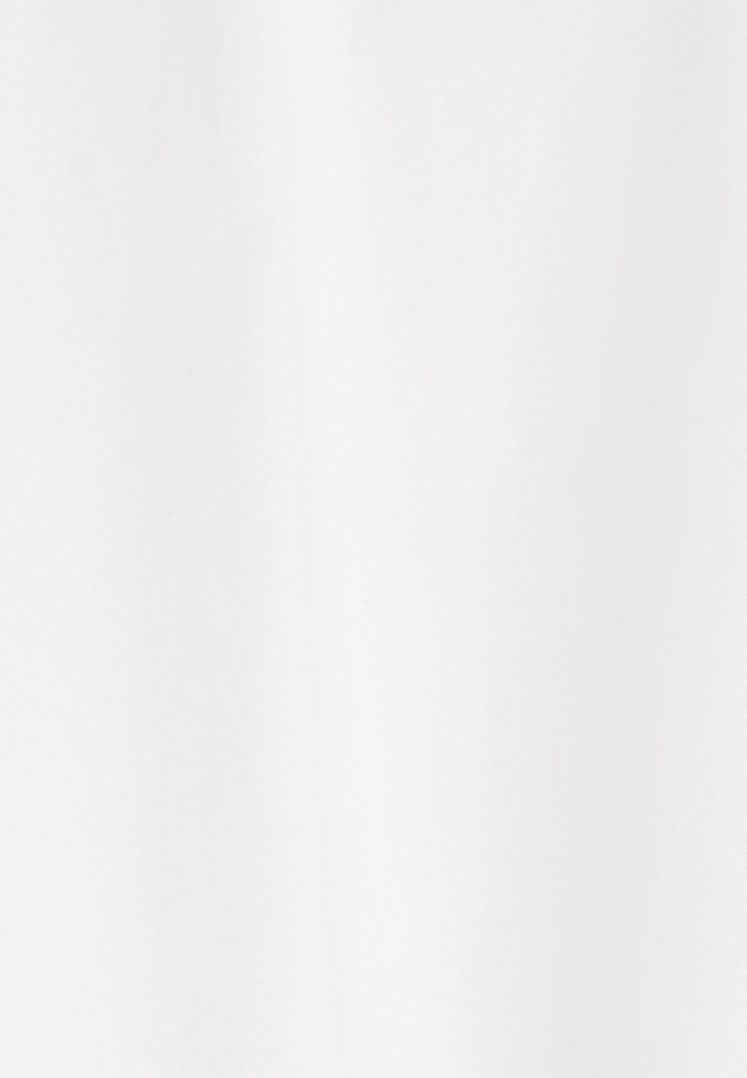 seidensticker Tunika »Schwarze Rose«