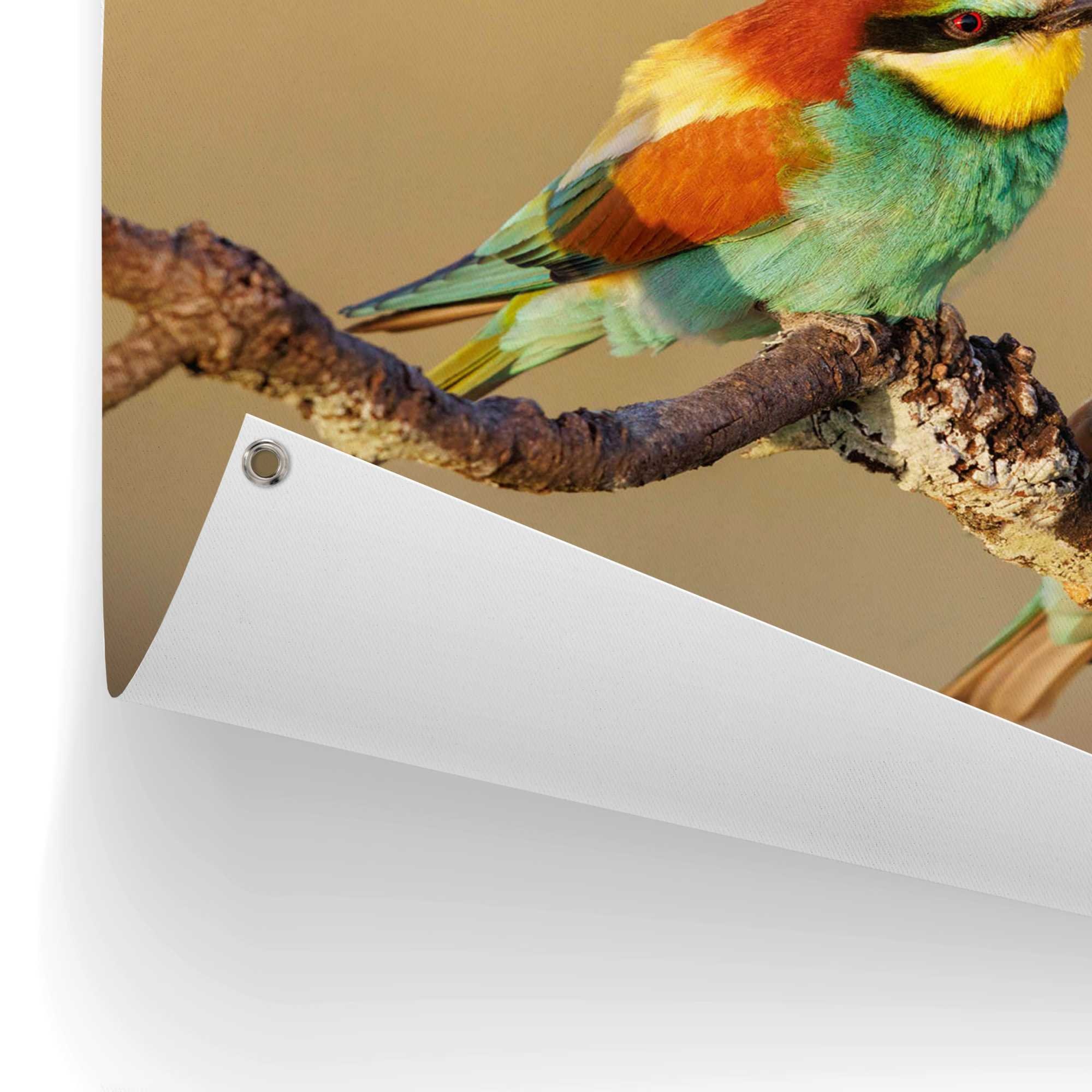 Reinders! Poster »Der Bienenfresser« Outdoor für Garten oder Balkon