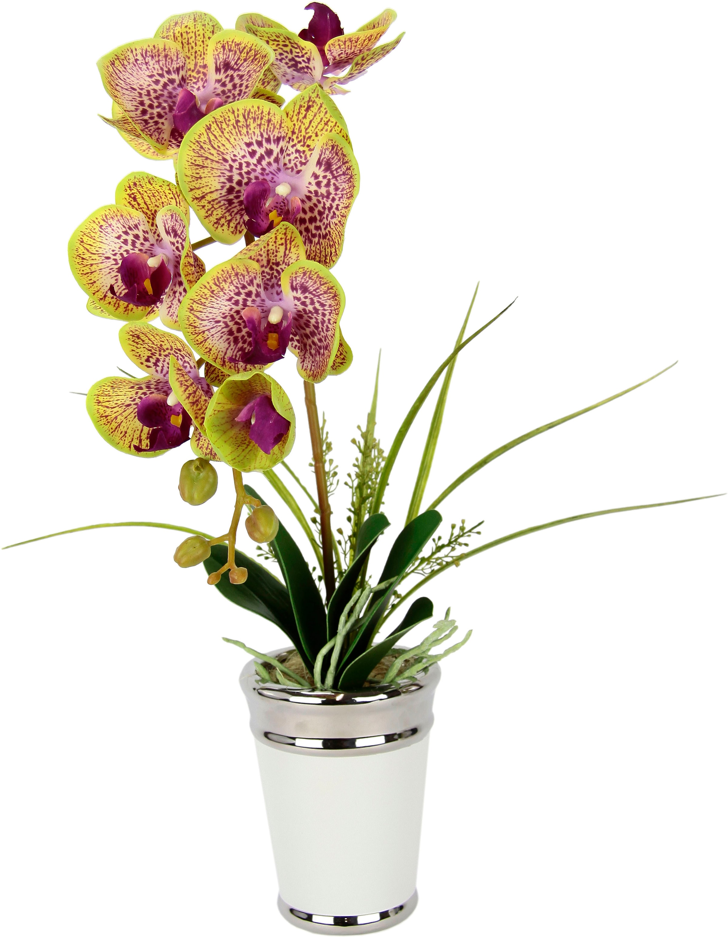 Real im kaufen Touch I.GE.A. Keramik, Seidenblume Kunstblume Topf, bequem »Orchidee«, aus