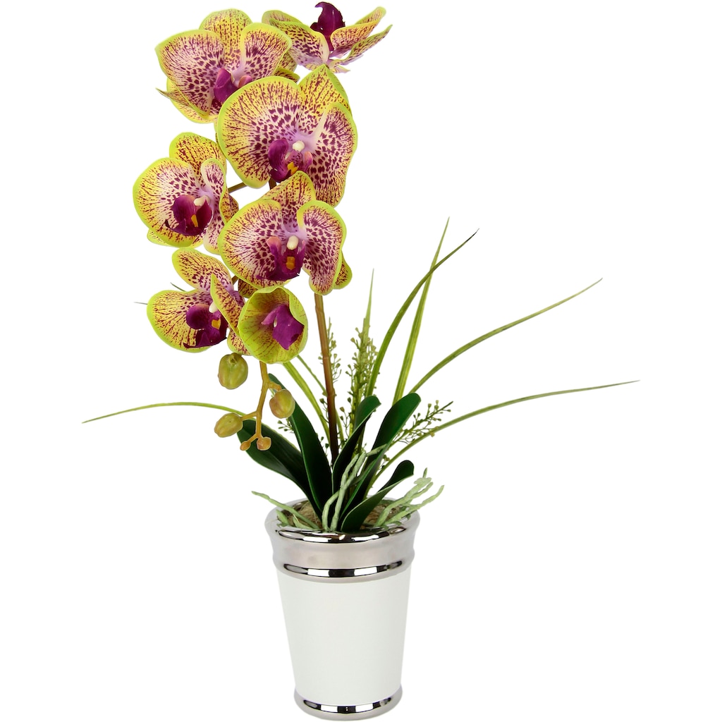 I.GE.A. Kunstblume »Orchidee«
