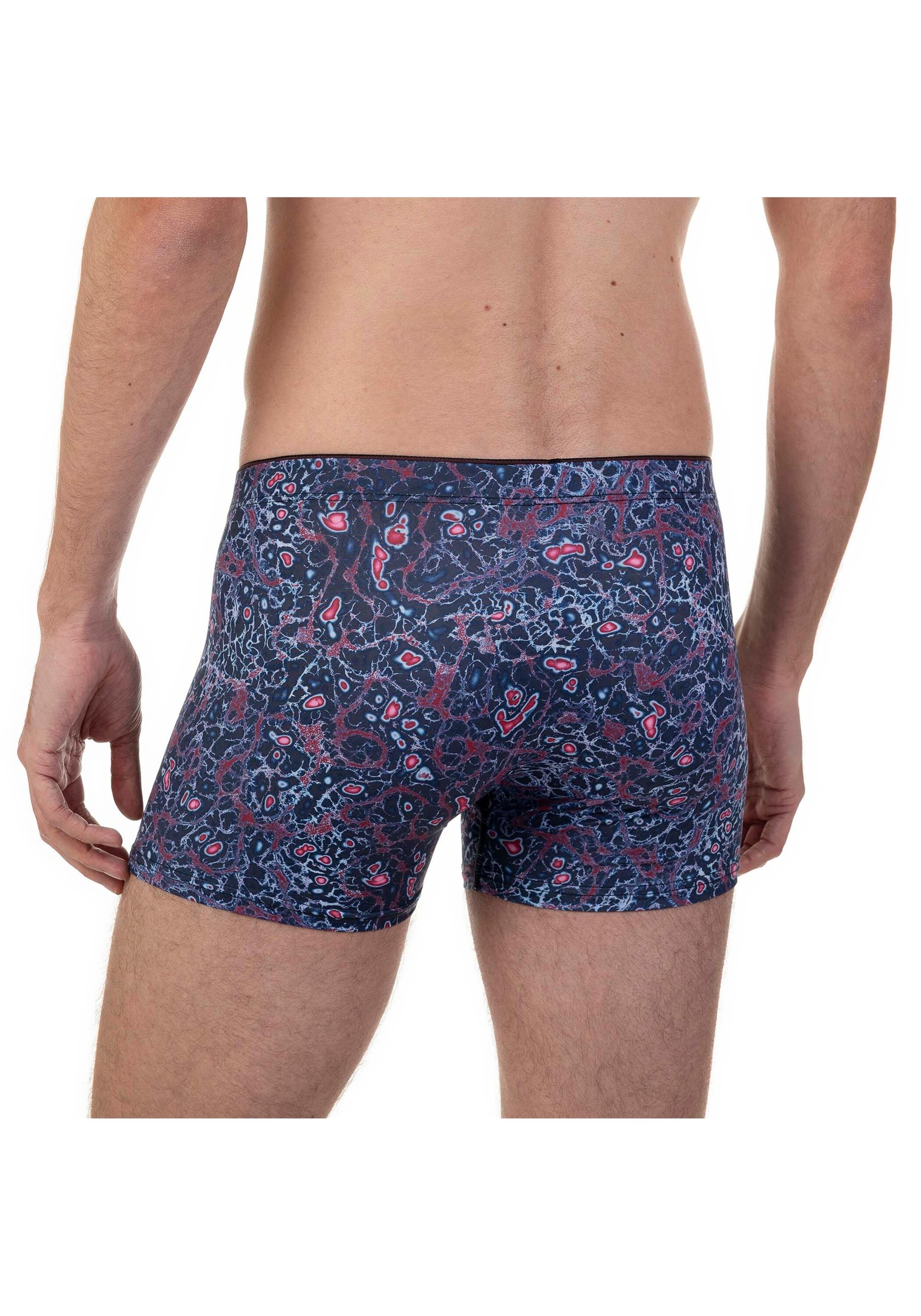Bruno Banani Boxershorts »Boxershort Microscope 1er Pack«