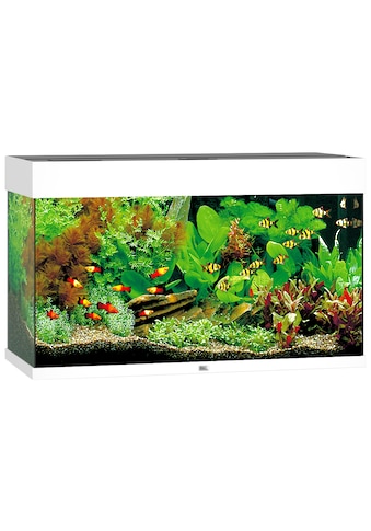 JUWEL AQUARIEN Aquarium »Rio 125 LED«, BxTxH: 81x36x50 cm, 125 l kaufen