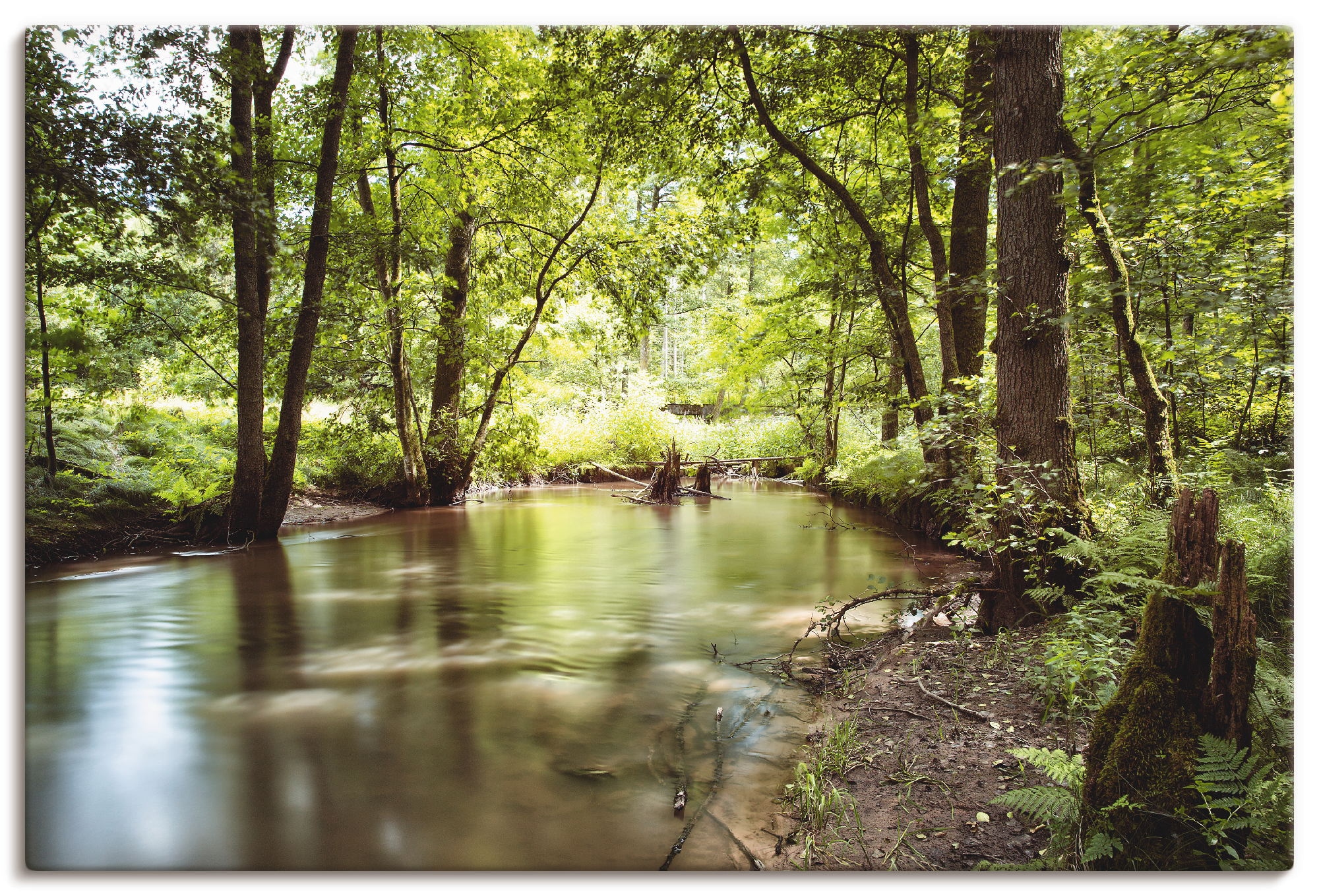 Artland Leinwandbild "Spessart II" Wald 1 Stk. tlg. auf Holzrahmen gespannt