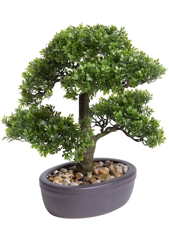 Kunstbonsai »Ficus Bonsai«