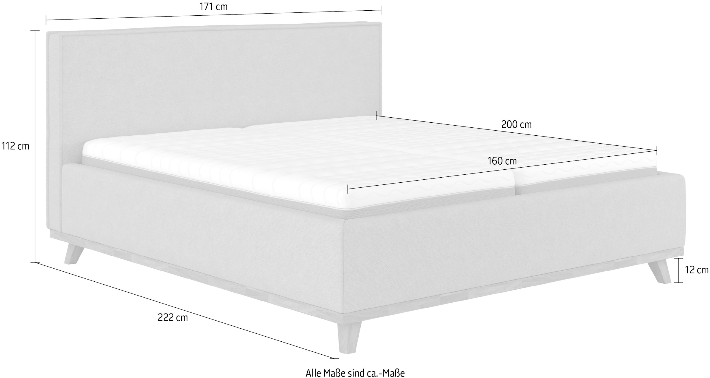 COTTA Polsterbett »MILLI I wahlweise mit Bettkasten«