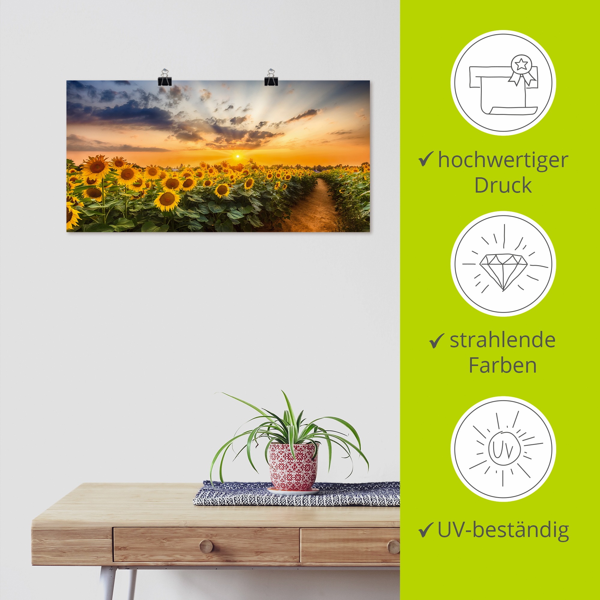 Artland Wandbild »Sonnenblumenfeld bei Sonnenuntergang«, Blumenbilder, (1 St.), als Alubild, Outdoorbild, Leinwandbild, Poster in verschied. Größen