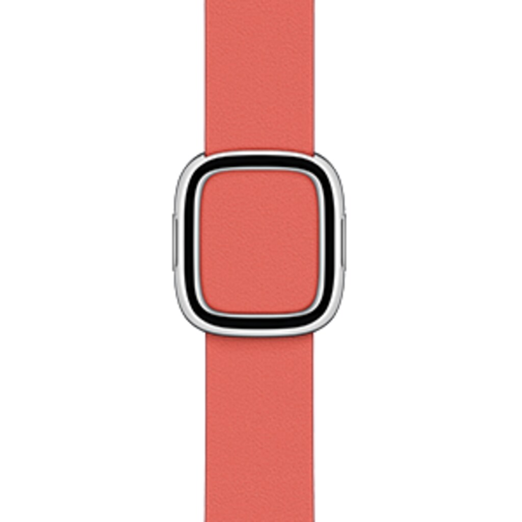 Apple Smartwatch-Armband, MY622ZM/A