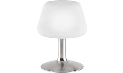 Paul Neuhaus LED Tischleuchte »Till«, G9, 1 St., Warmweiß, 3-Stufen Touchdimmer kaufen