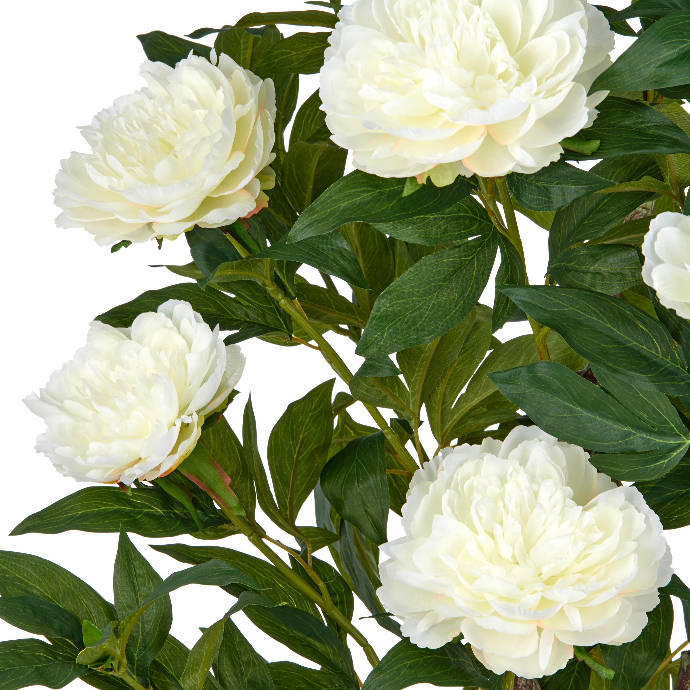Creativ green Kunstpflanze »Peonie«, im eleganten Topf