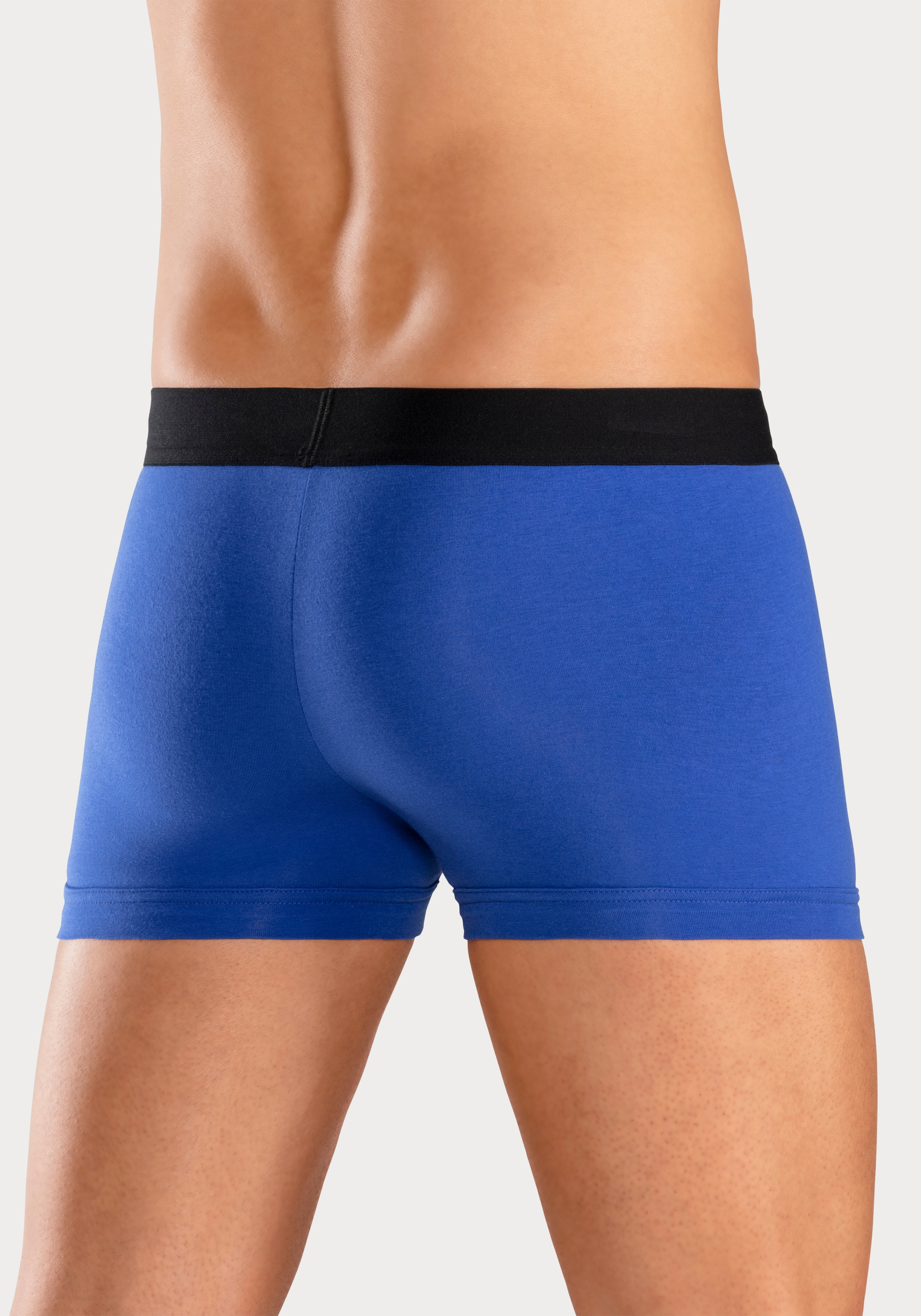 Bruno Banani Boxer »Boxershorts für Herren« Packung, 5 Stk. mit Streifen Logo Webbund