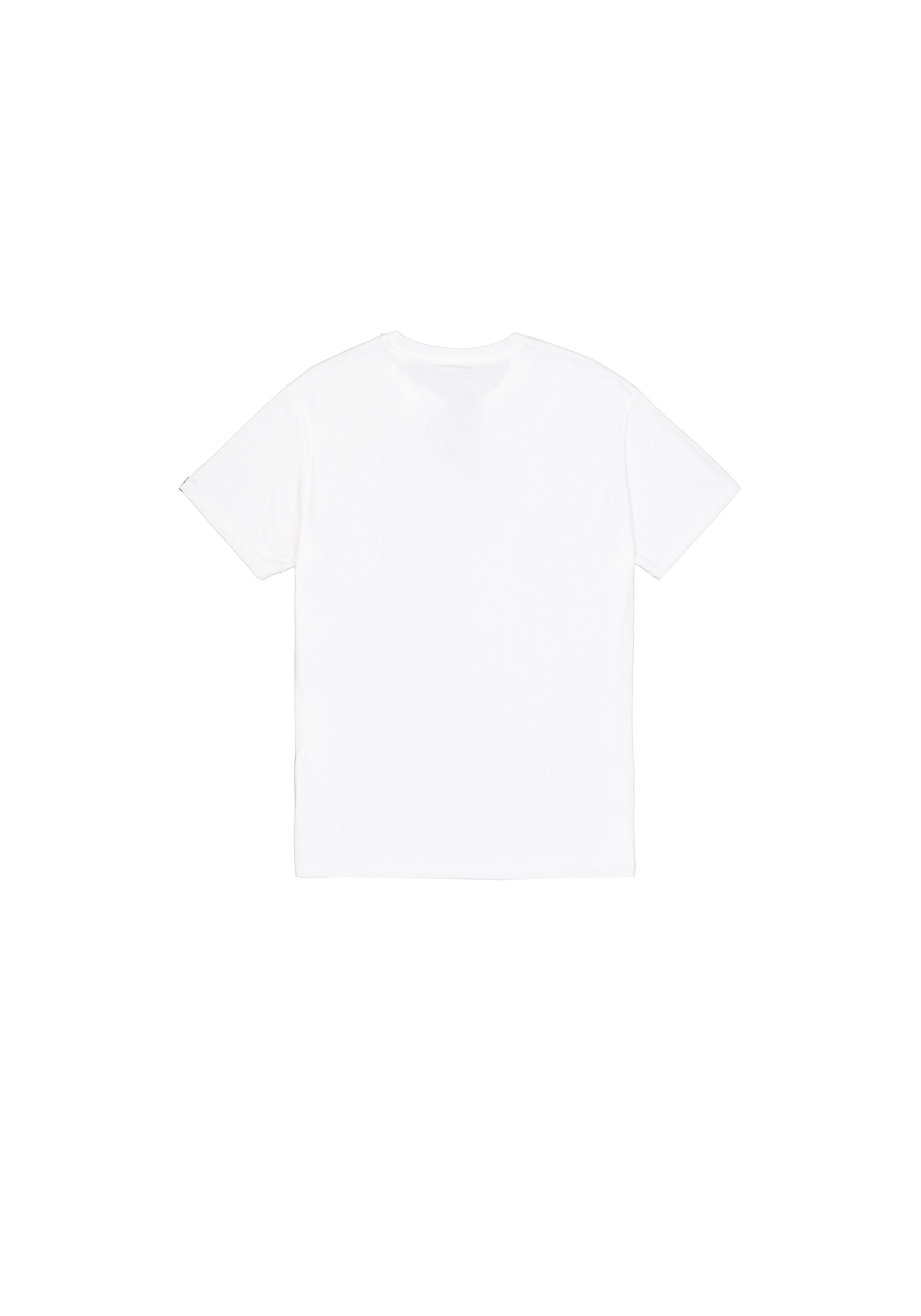 Alpha Industries T-Shirt »Alpha Industries Men - T-Shirts Alpha Label T-Shirt«