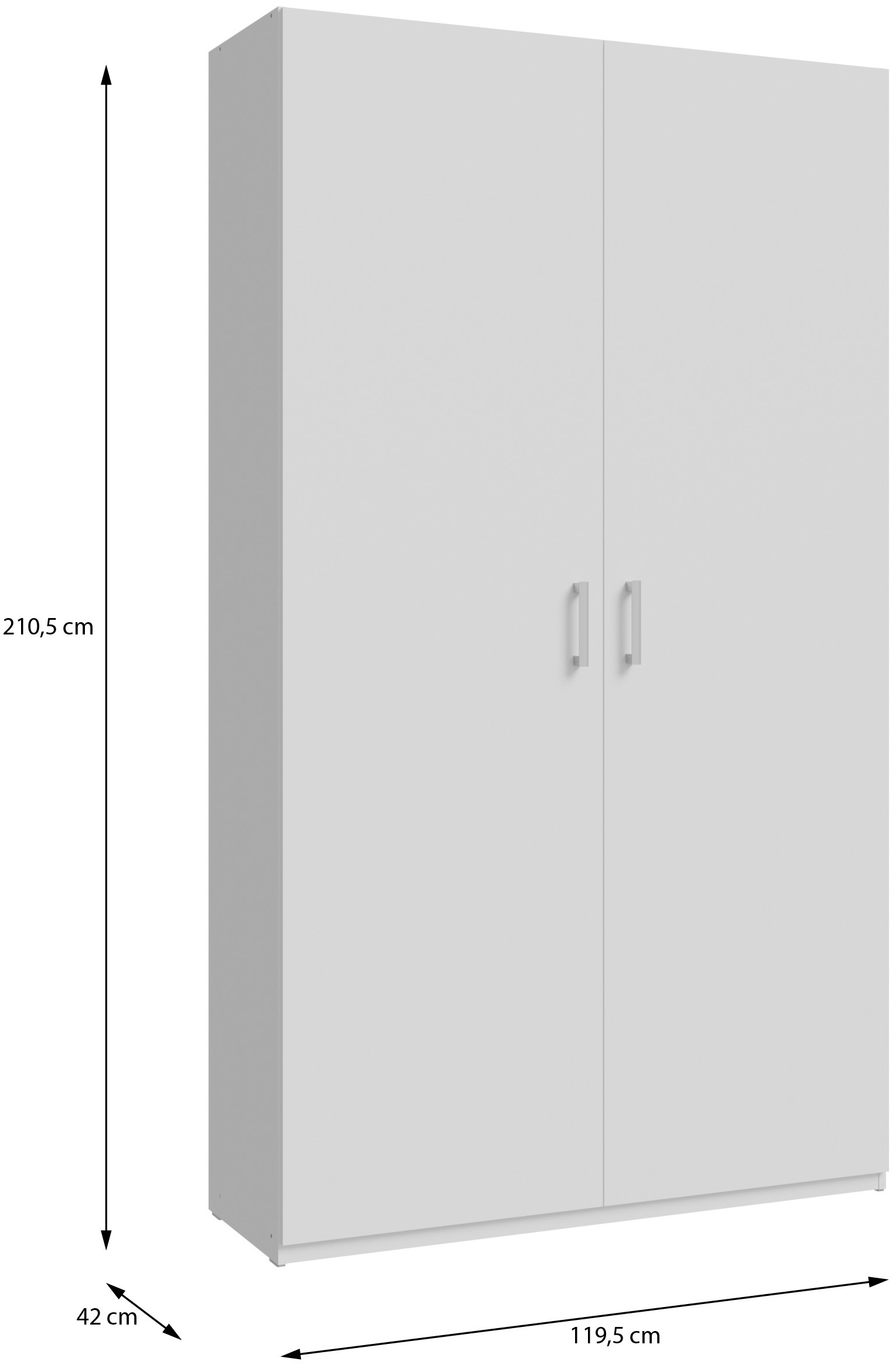 FORTE Kleiderschrank B/H/T 119,5/210,5/42cm, stehende Montage