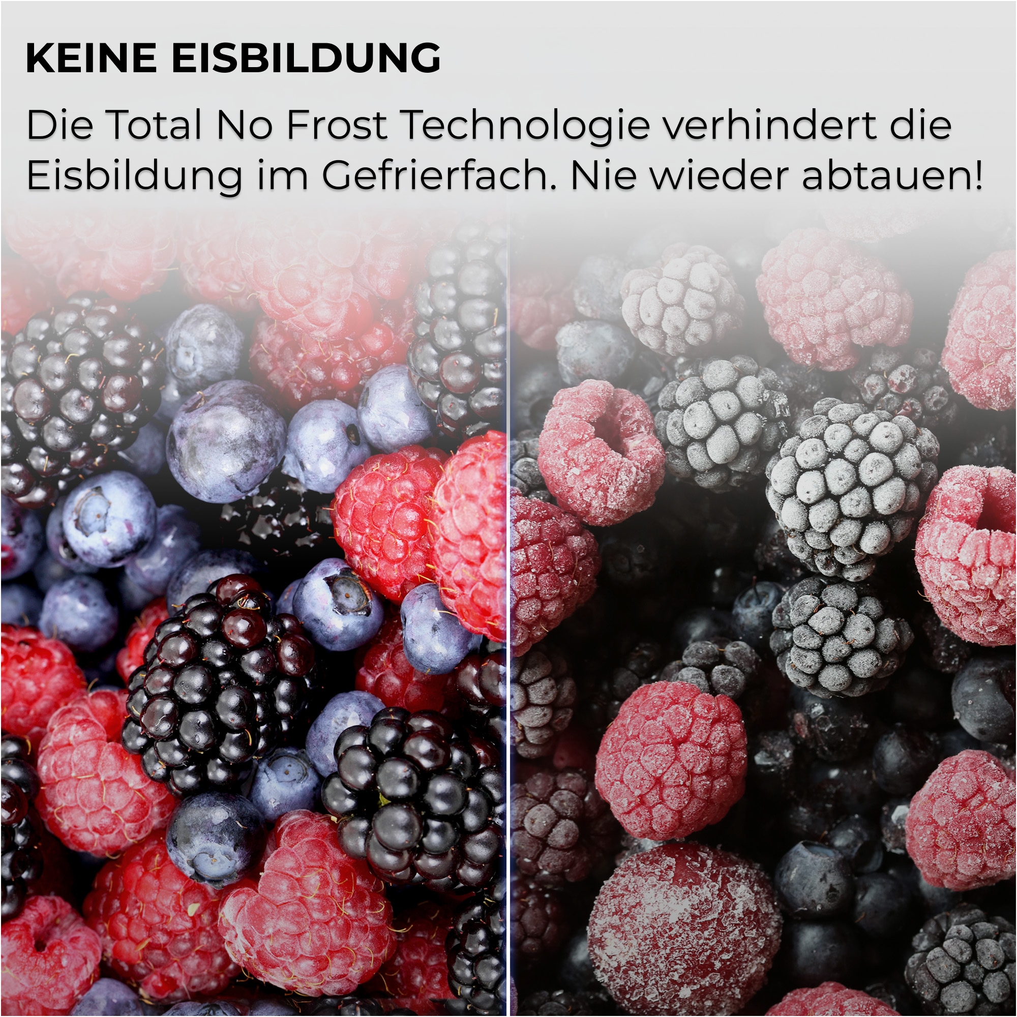 Haier Einbaukühlgefrierkombination ID Titanium 2 »HBQW5518D« 177,2 cm hoch 54 cm breit Humidity Zone: Obst, Gemüse und Salat 2x länger frisch halten
