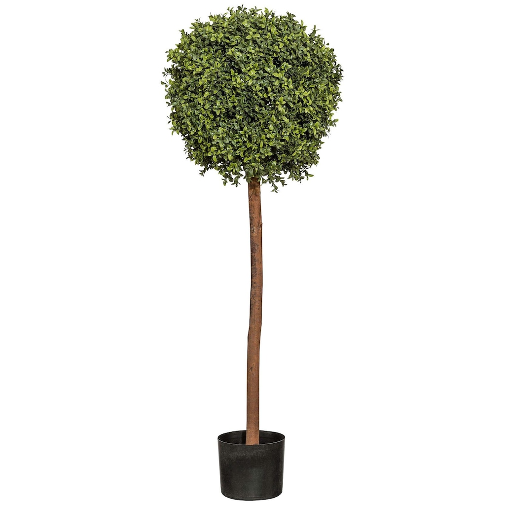 Creativ green Kunstpflanze »Buchskugelbaum«