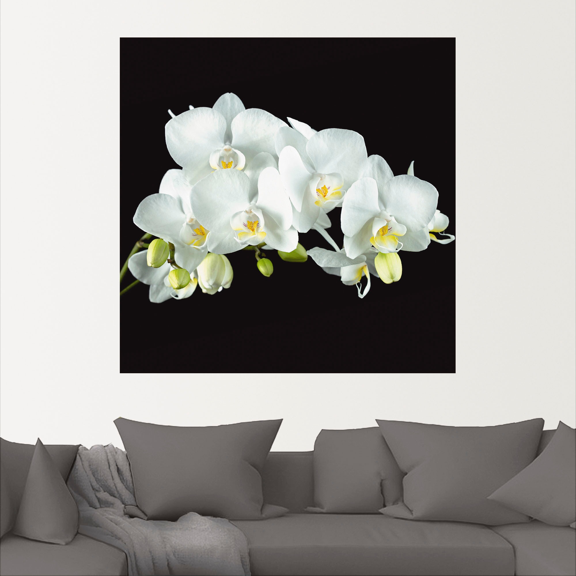Artland Wandbild »Weiße Orchidee auf schwarzem Hintergrund«, Blumen, (1 St.), als Leinwandbild, Poster, Wandaufkleber in verschied. Größen