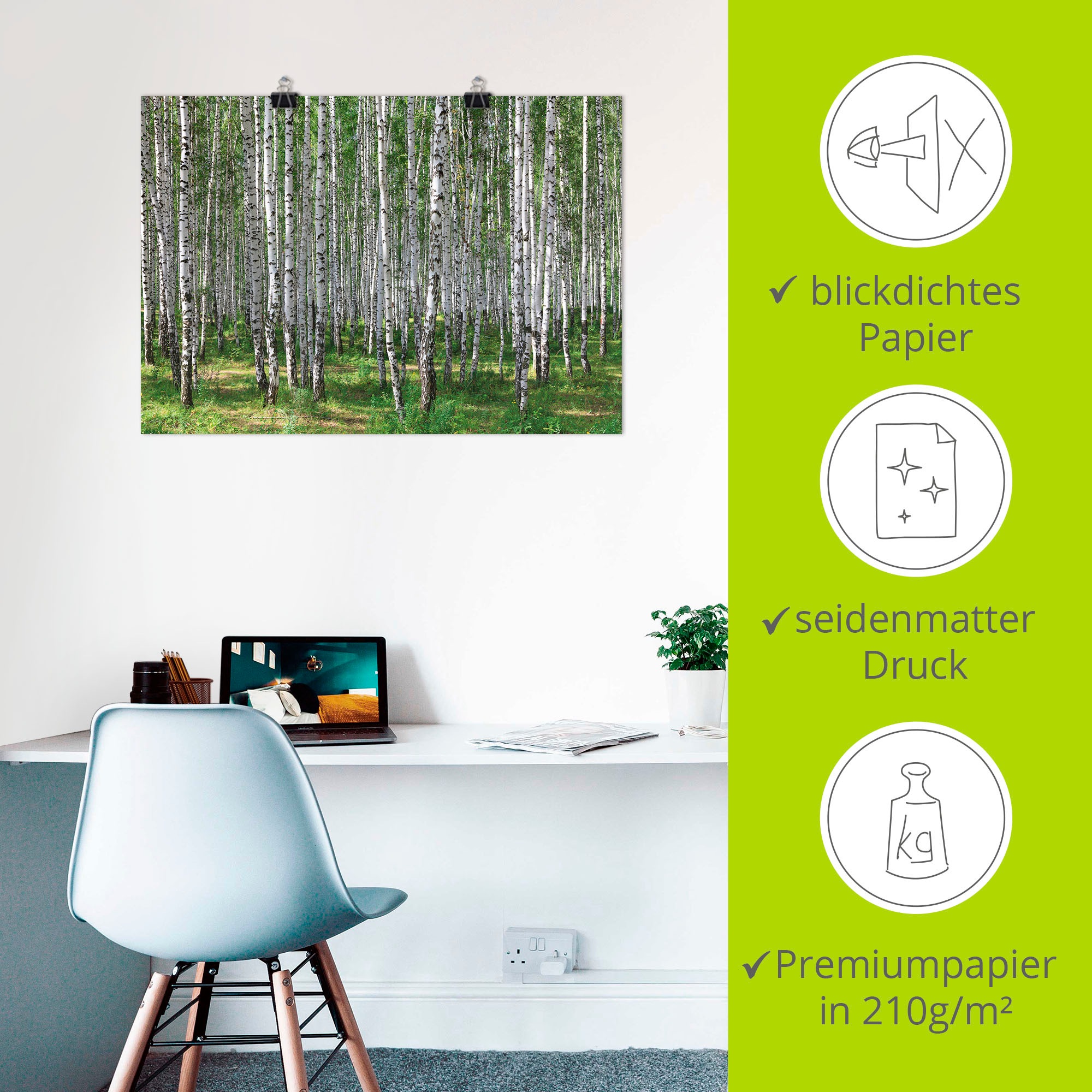 Artland Wandbild »Birkenwald«, Wald, (1 St.), als Poster, Wandaufkleber in verschied. Größen