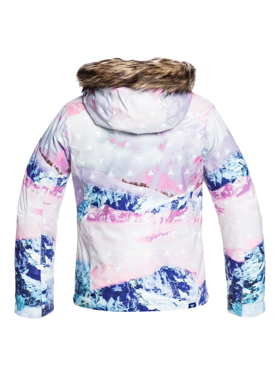 Roxy Snowboardjacke »Jet Ski SE«