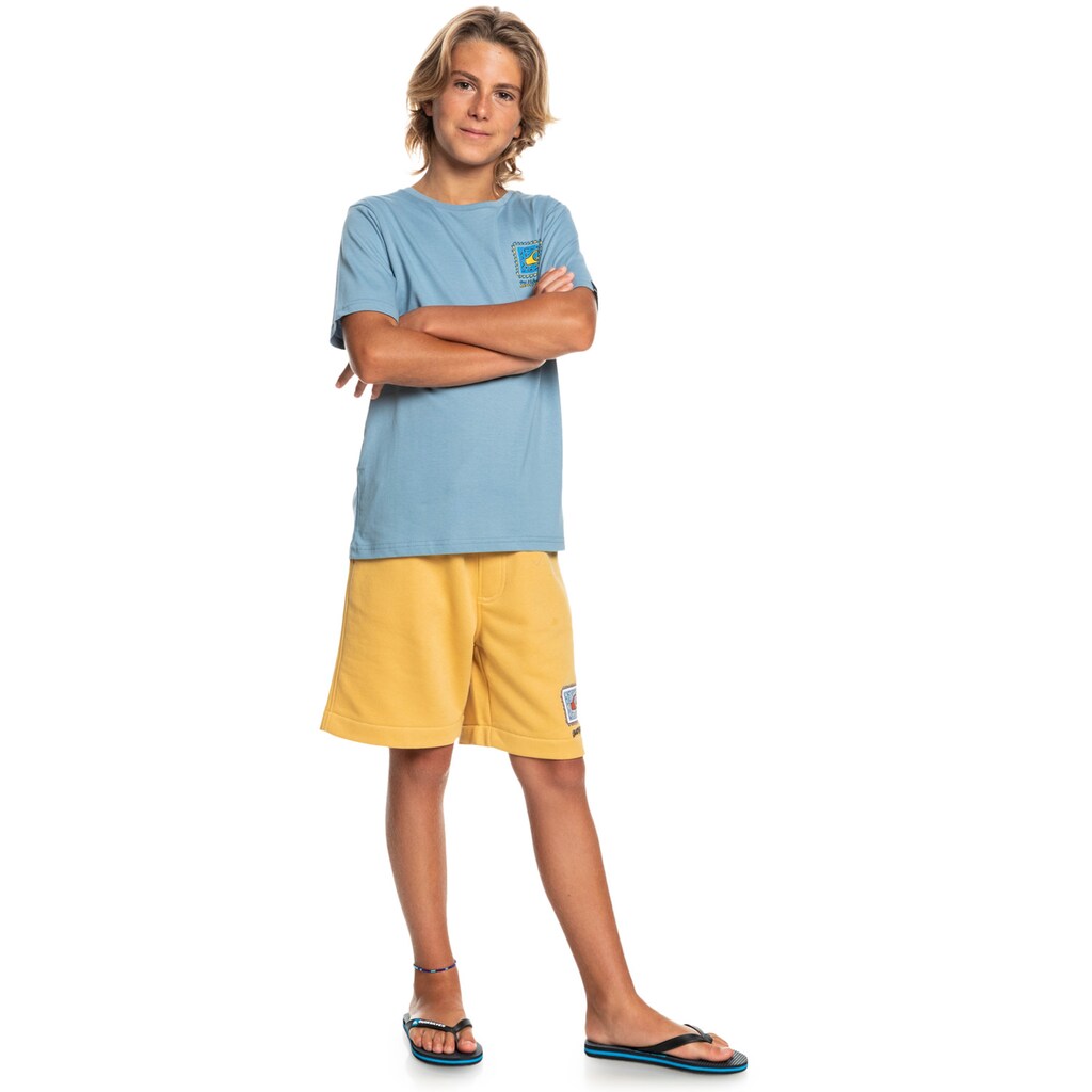 Quiksilver Trainingsshorts »Stir Roots Up 17"«