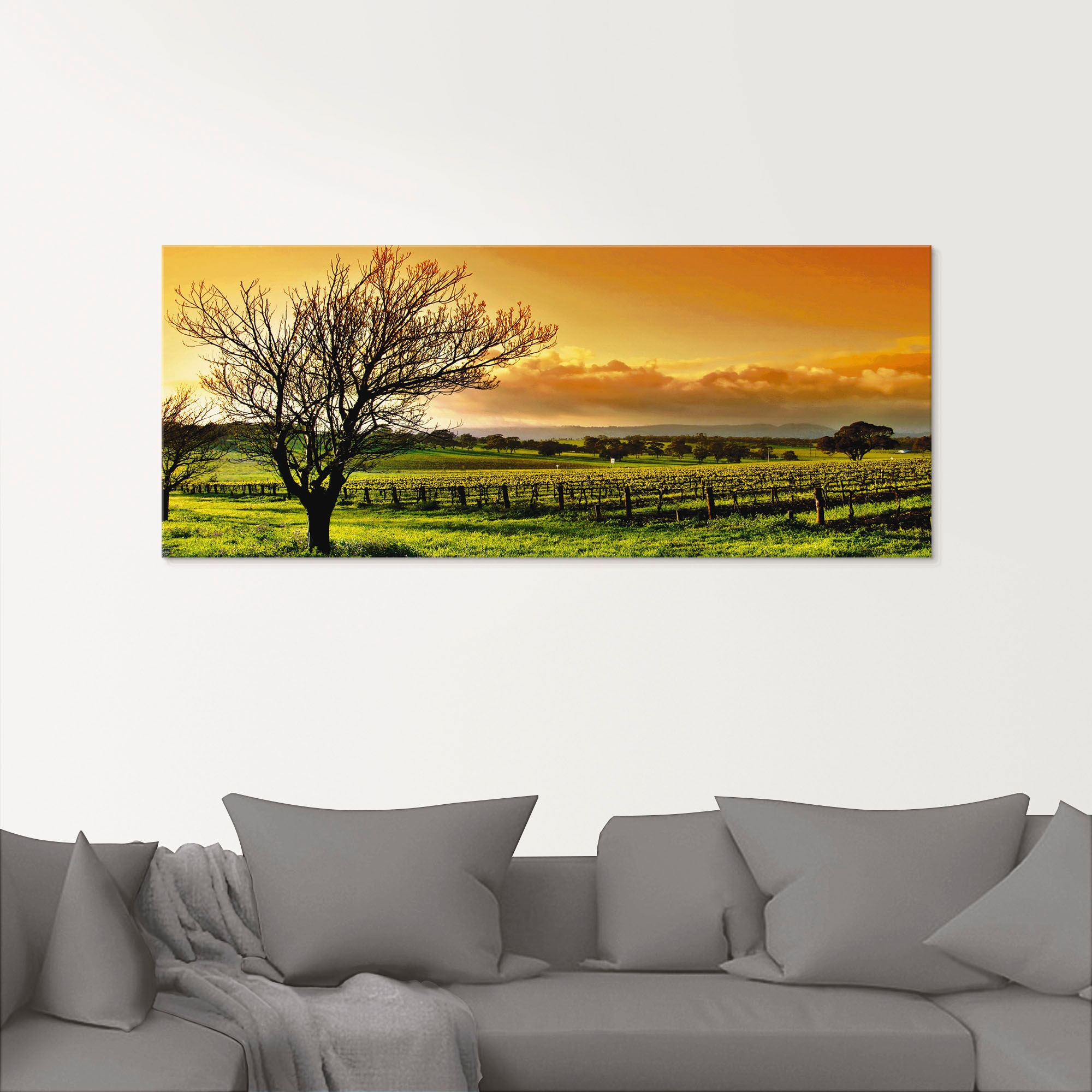 Artland Glasbild »Landschaft mit Weinbergen« Felder 1 Stk. tlg. in verschiedenen Größen
