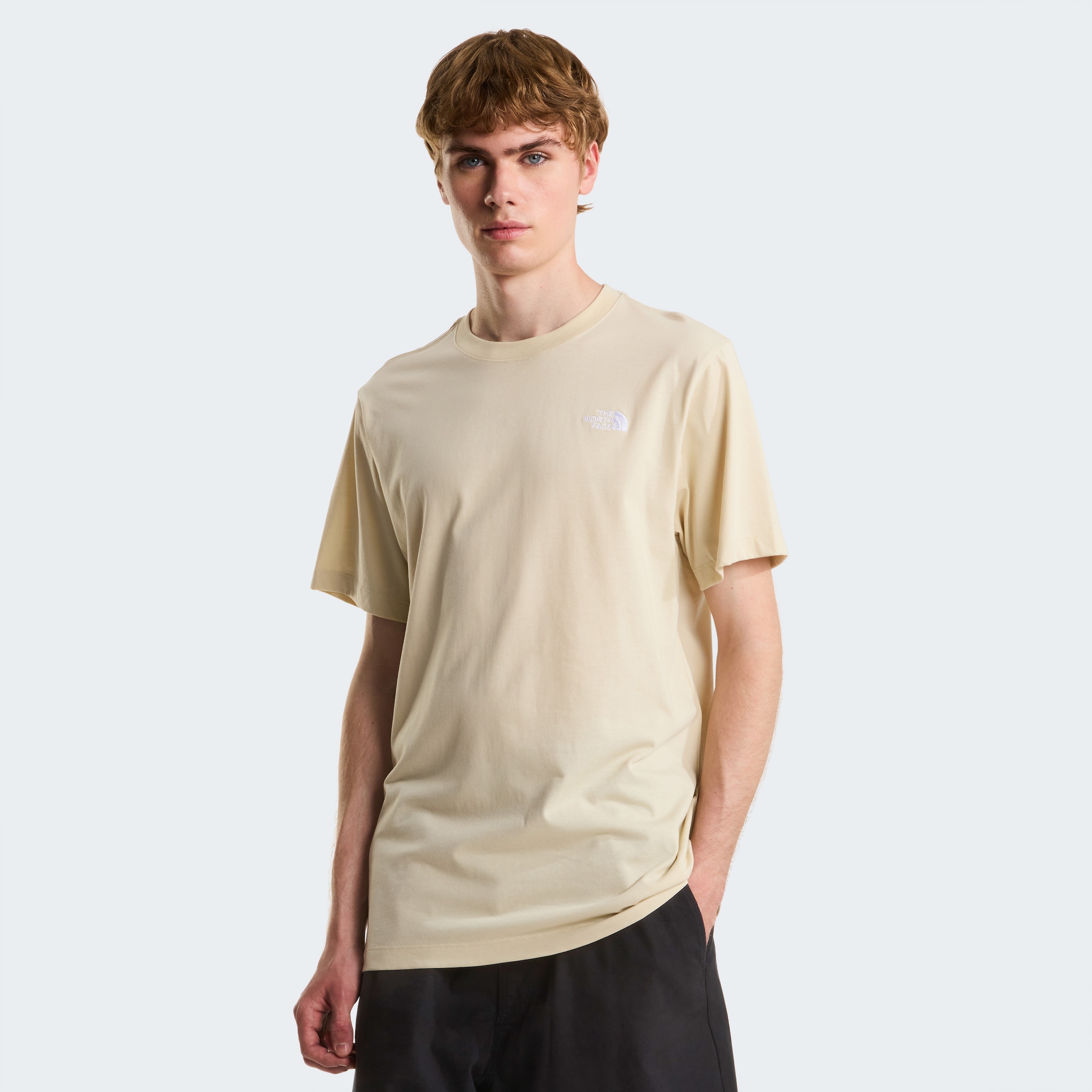 The North Face T-Shirt »M EVOLUTION SIMPLE DOME REGULAR SHORT SL« normale Passform, Kurzarm, für den Alltag, aus Poly-Baumwolle
