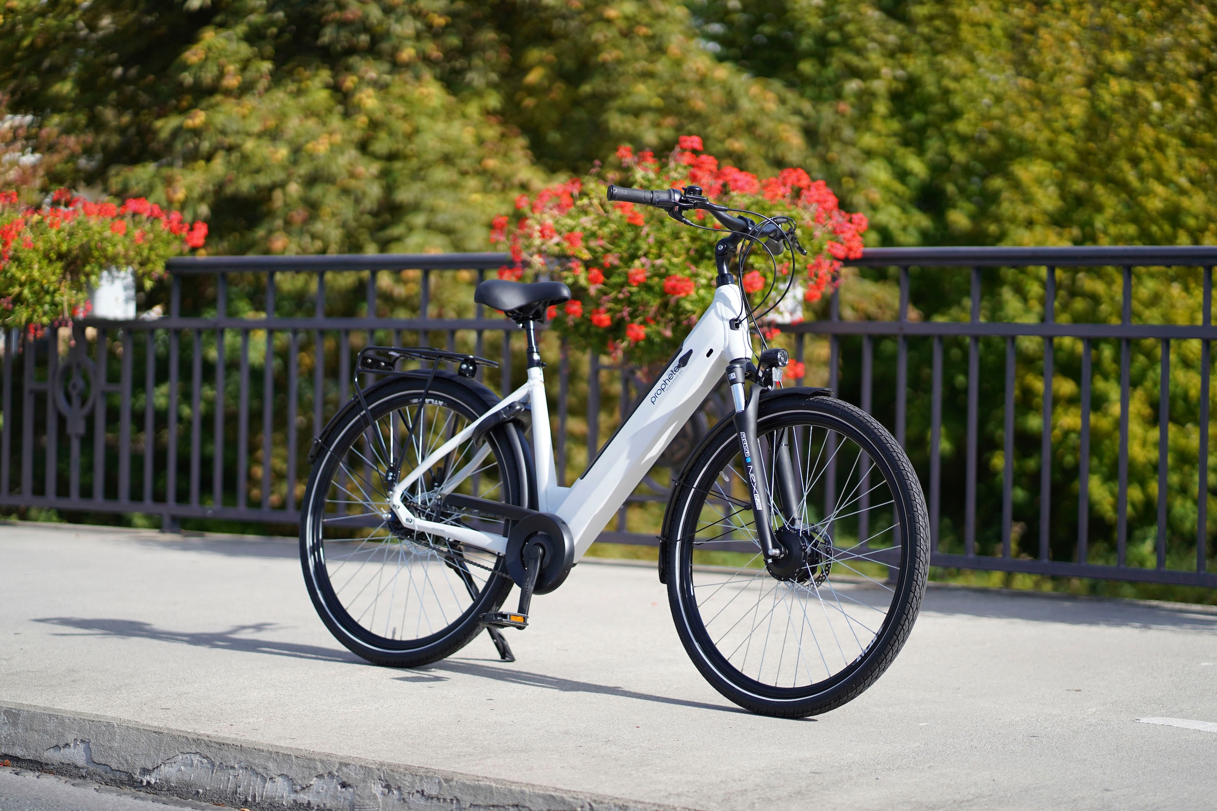 Prophete E-Bike »Geniesser 2.0«, 7 Gang, Shimano, Nexus, Frontmotor 250 W, Pedelec, Elektrofahrrad für Damen, Cityrad, inkl. Rahmenschloss