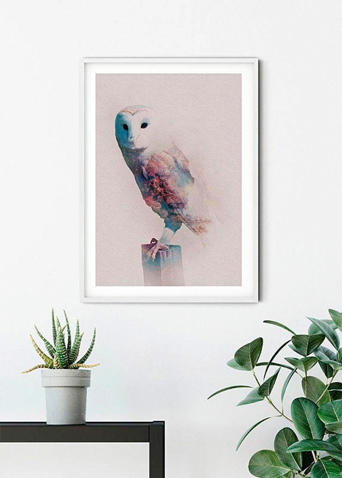 Komar Poster »Animals Forest Owl«, Tiere, (1 St.), Kinderzimmer, Schlafzimmer, Wohnzimmer