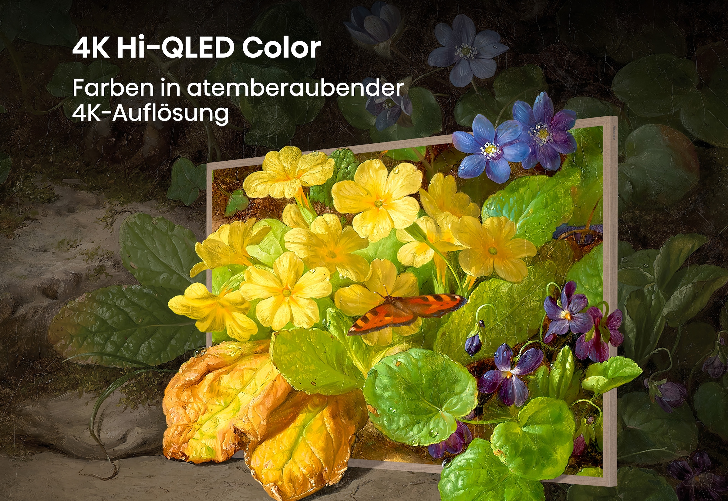 Hisense LED-Fernseher »65S7DS« 164 cm/65 ″ Smart-TV