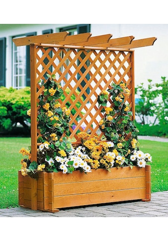 Spalier, Pergola mit Pflanzkasten, BxTxH: 140x65x140 cm