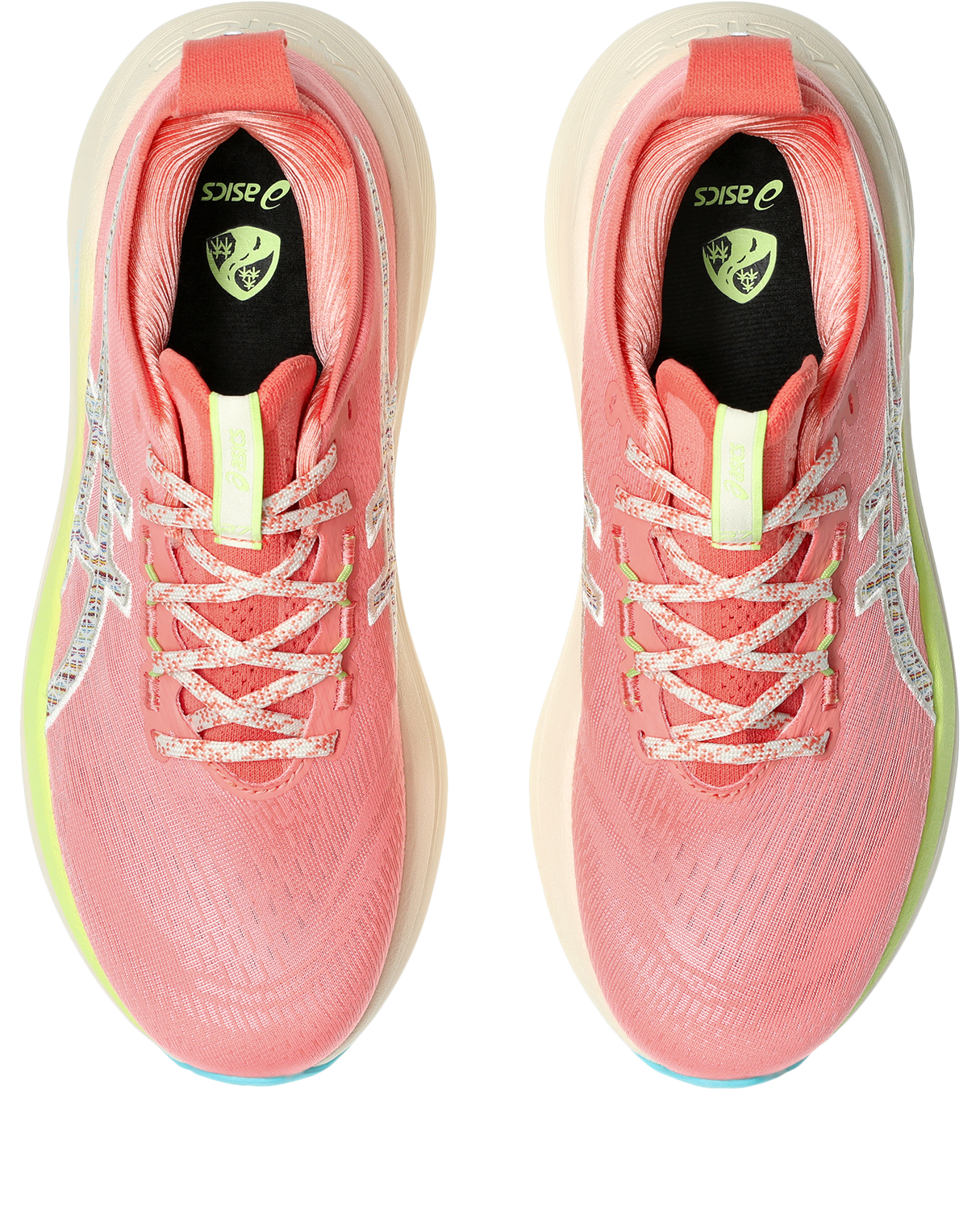 Asics Laufschuh »GEL-NIMBUS 27 TR«
