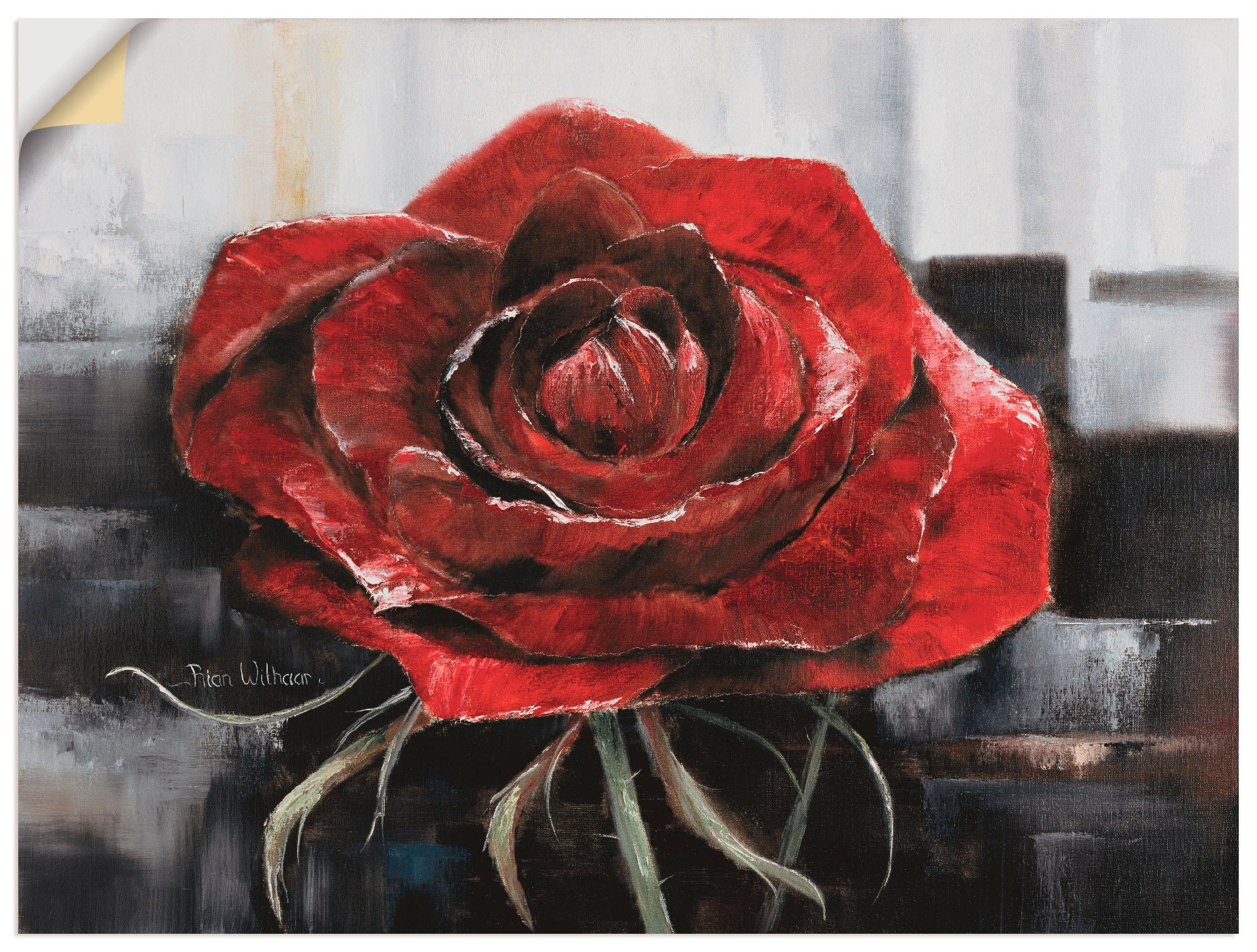 Artland Wandbild »Blühende rote Rose«, Blumen, (1 St.), als Leinwandbild, Poster, Wandaufkleber in verschied. Größen