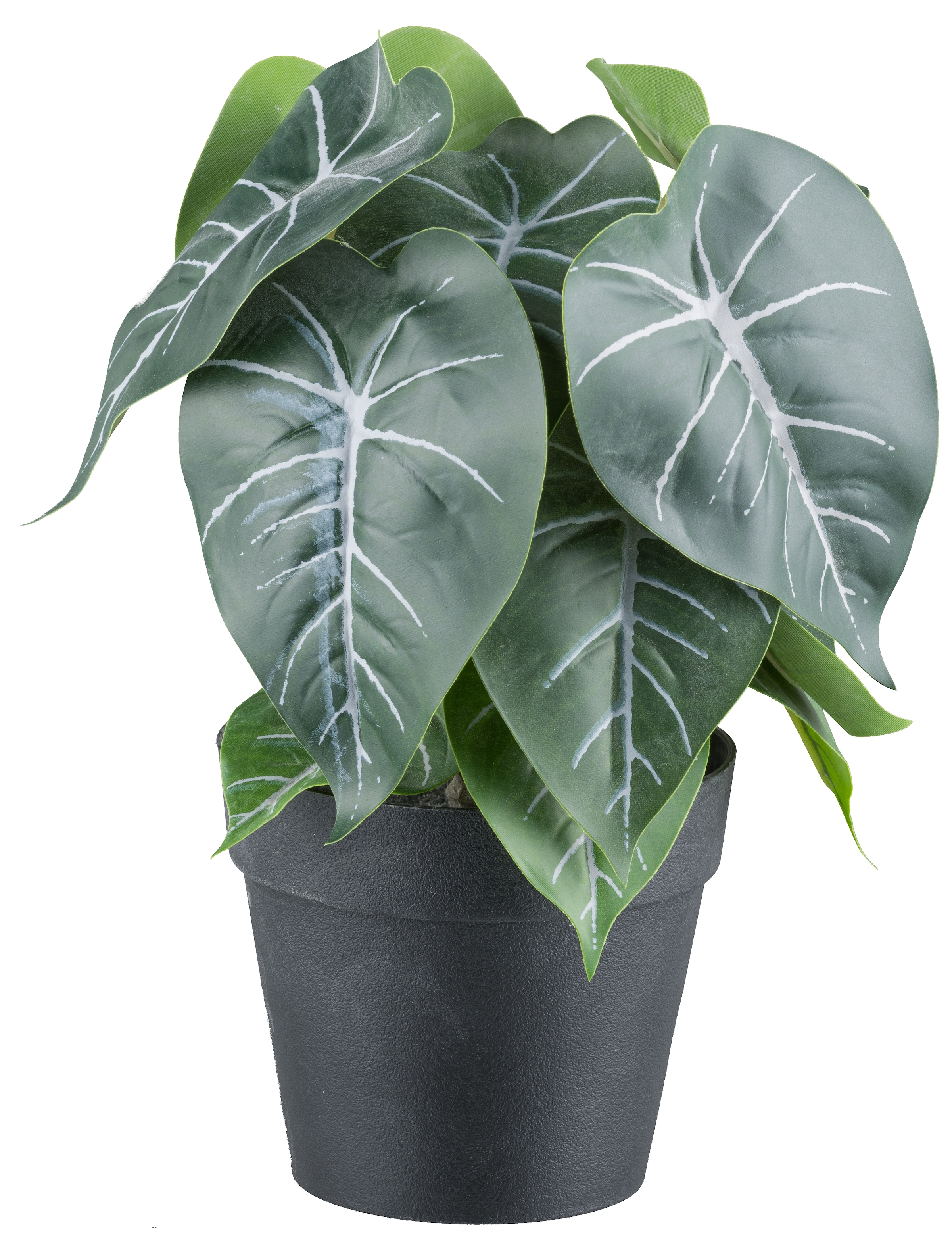 Creativ green Kunstpflanze »Grünpflanzen« mit verschiedenen Ausführungen im Set