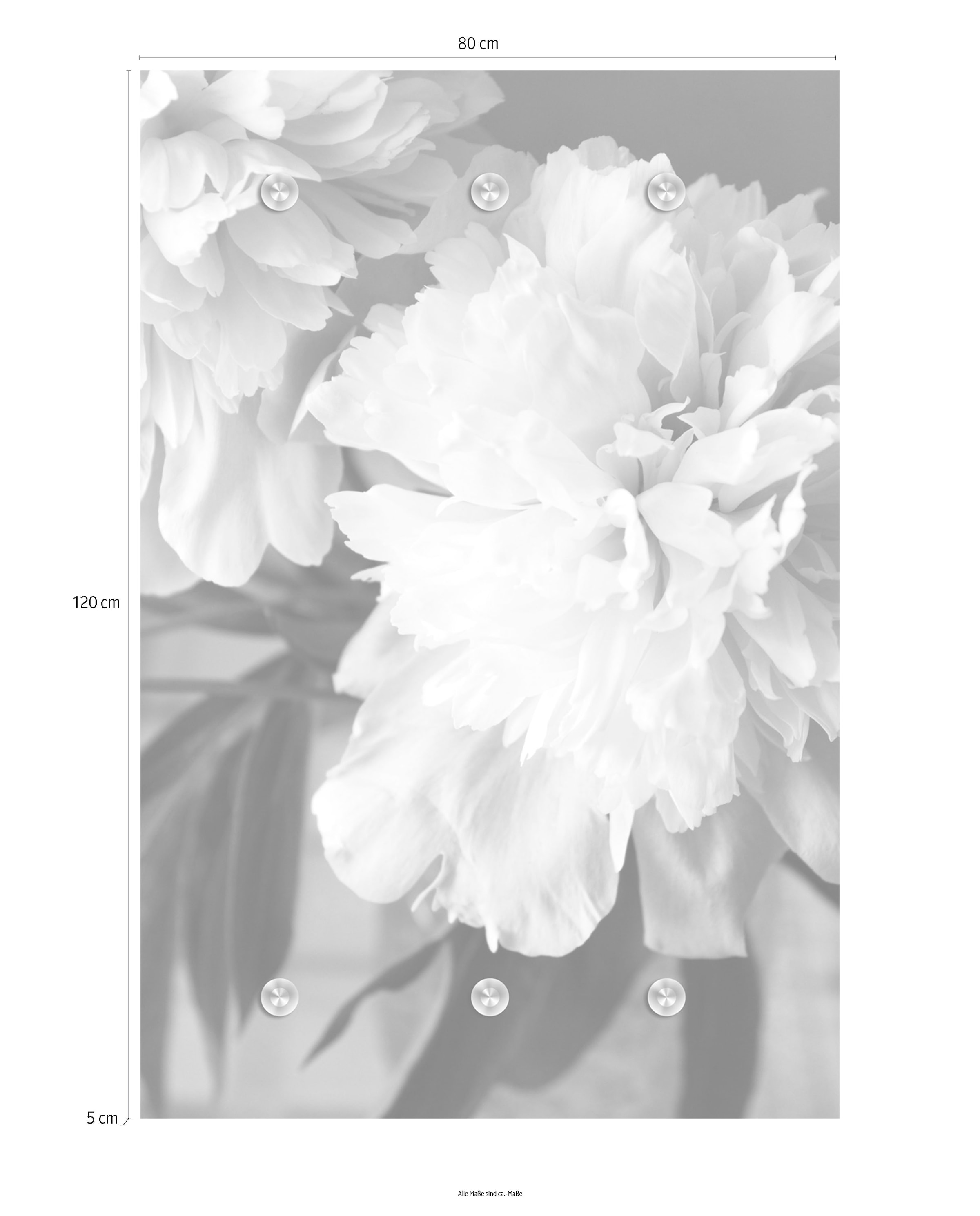 queence Garderobenleiste »Blume«, mit 6 Haken, 80 x 120 cm