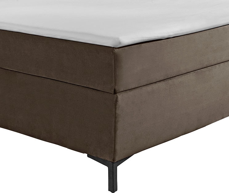 alina Boxspringbett »Petro« inklusive Matratze und Topper, in diversen Ausführungen