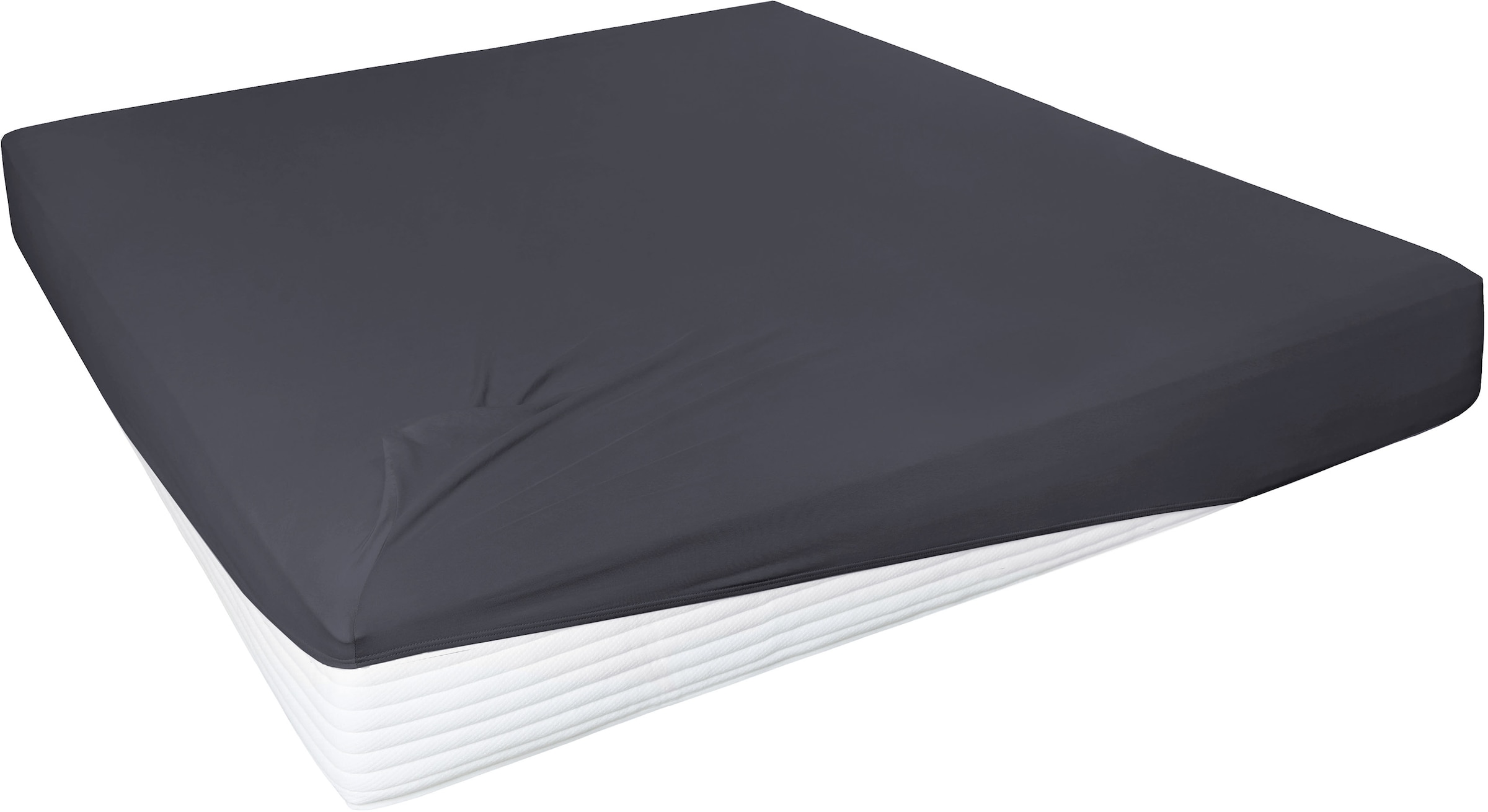 Primera Spannbettlaken »Elasthan-Feinjersey« PREMIUM, aus 95% gekämmter Baumwolle und 5% Elasthan, bis 28 cm Höhe
