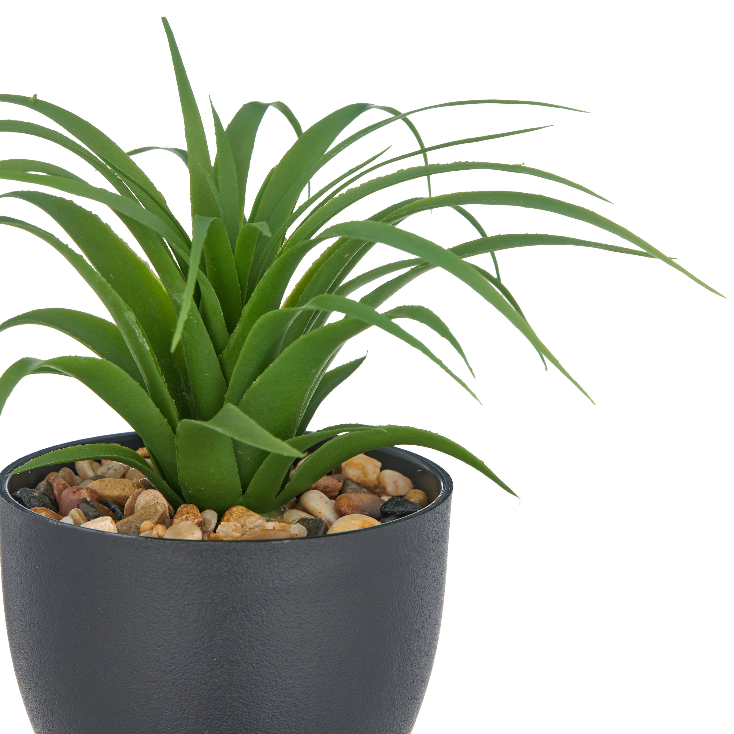 Creativ green Kunstpflanze »Sukkulenten« mit dekorativem Kies