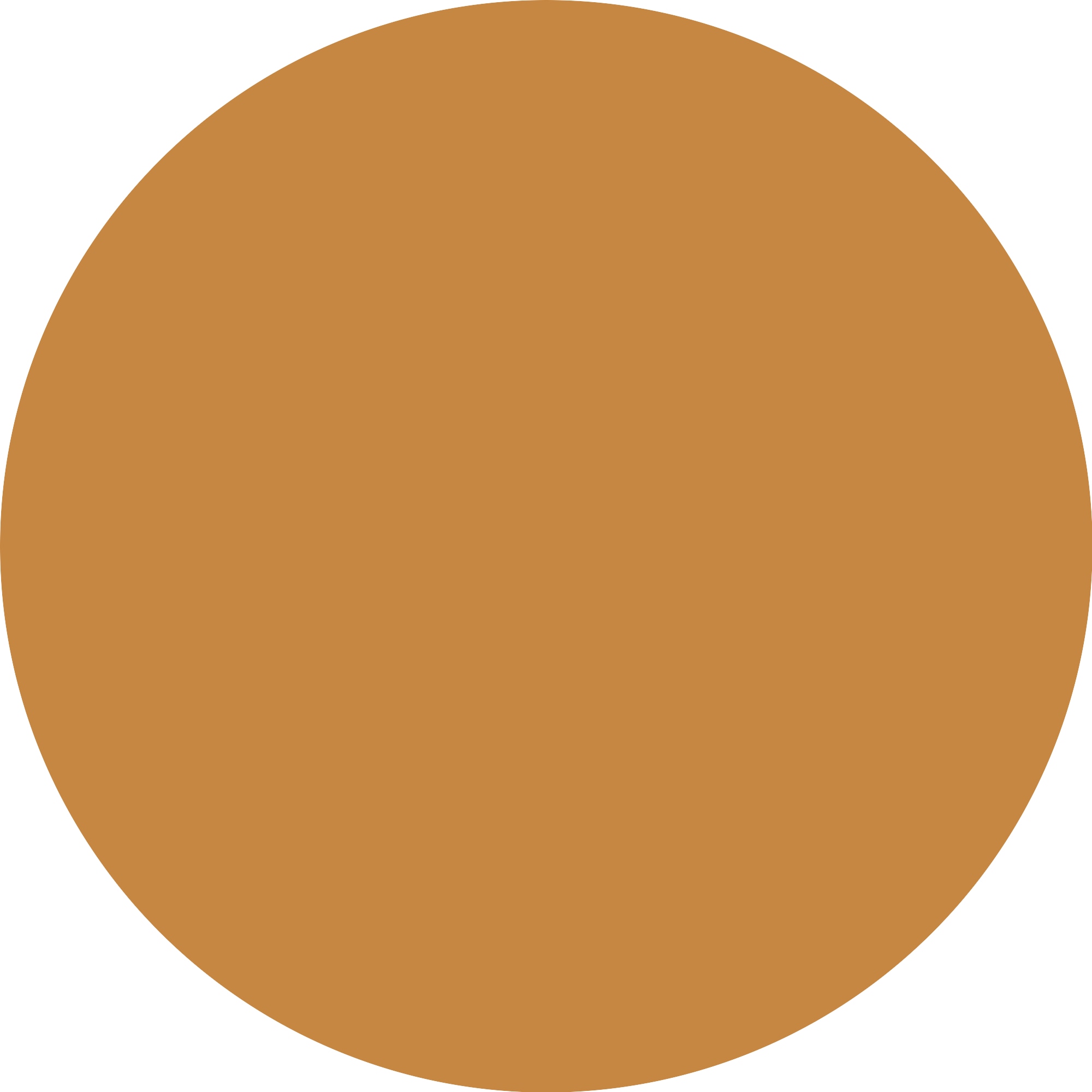 Essence Foundation »SKIN tint«, (3er Pack), mit veganen Inhaltsstoffen
