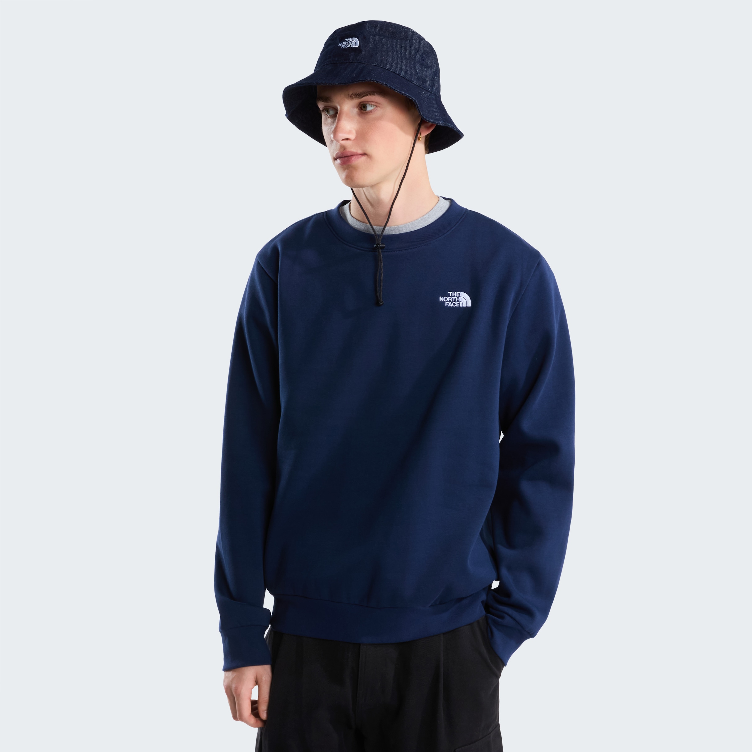 The North Face Sweatshirt »M EVOLUTION SIMPLE DOME REGULAR CREW«
