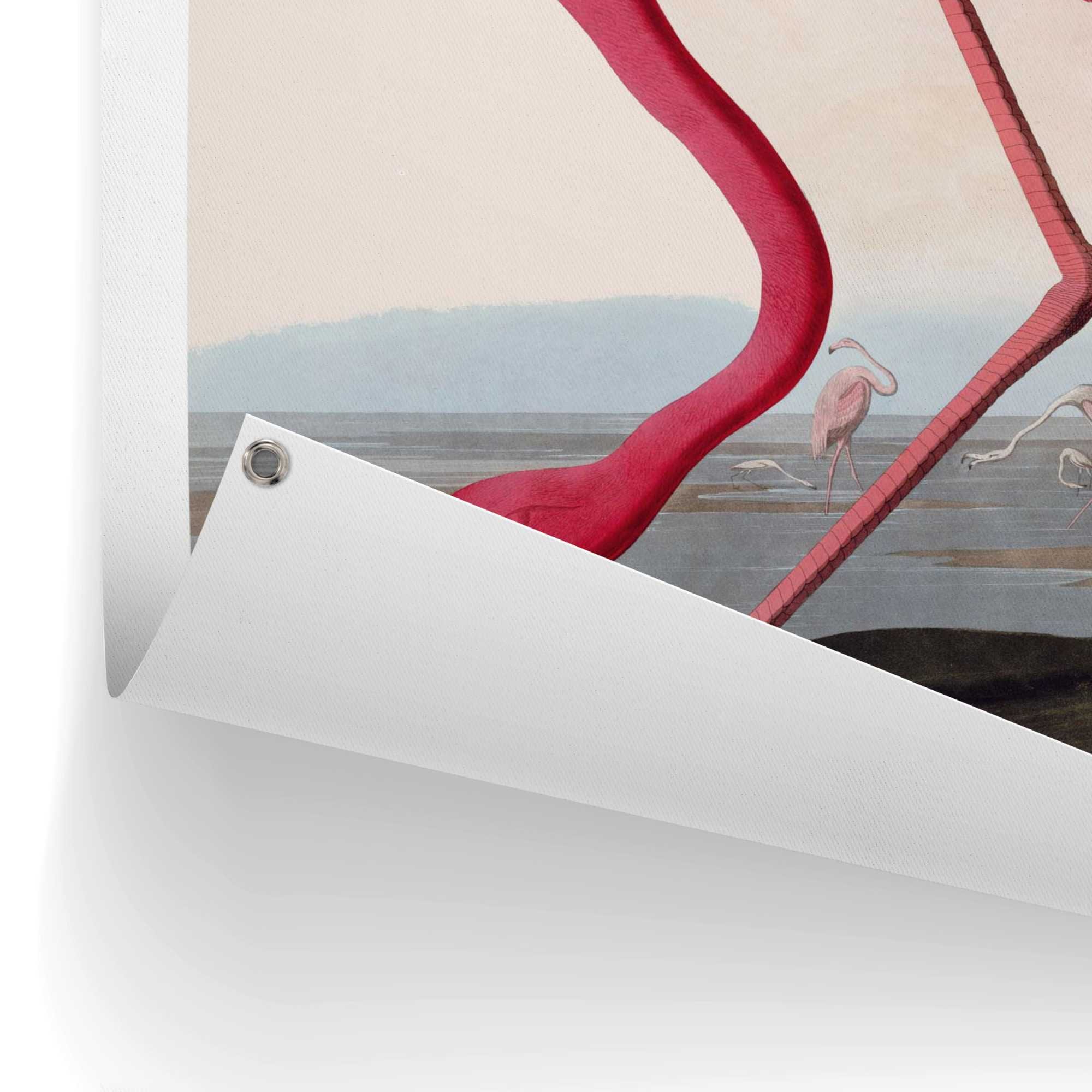 Reinders! Poster »Audubon Flamingo« Garten - Rosa - Leinwand - Tiere - 60x80 cm