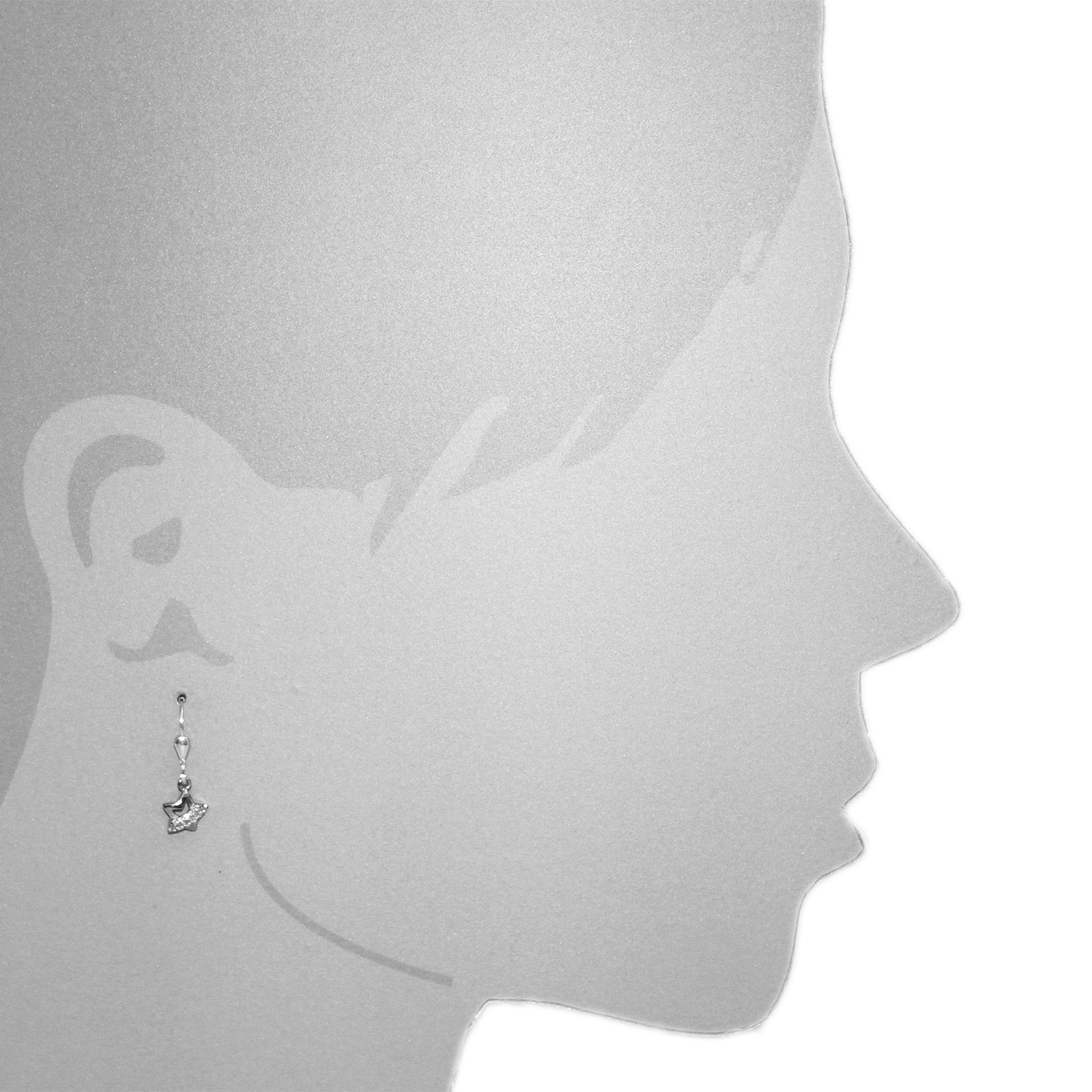 OSTSEE-SCHMUCK Paar Ohrhänger »- Stern - Silber 925/000 - Zirkonia«