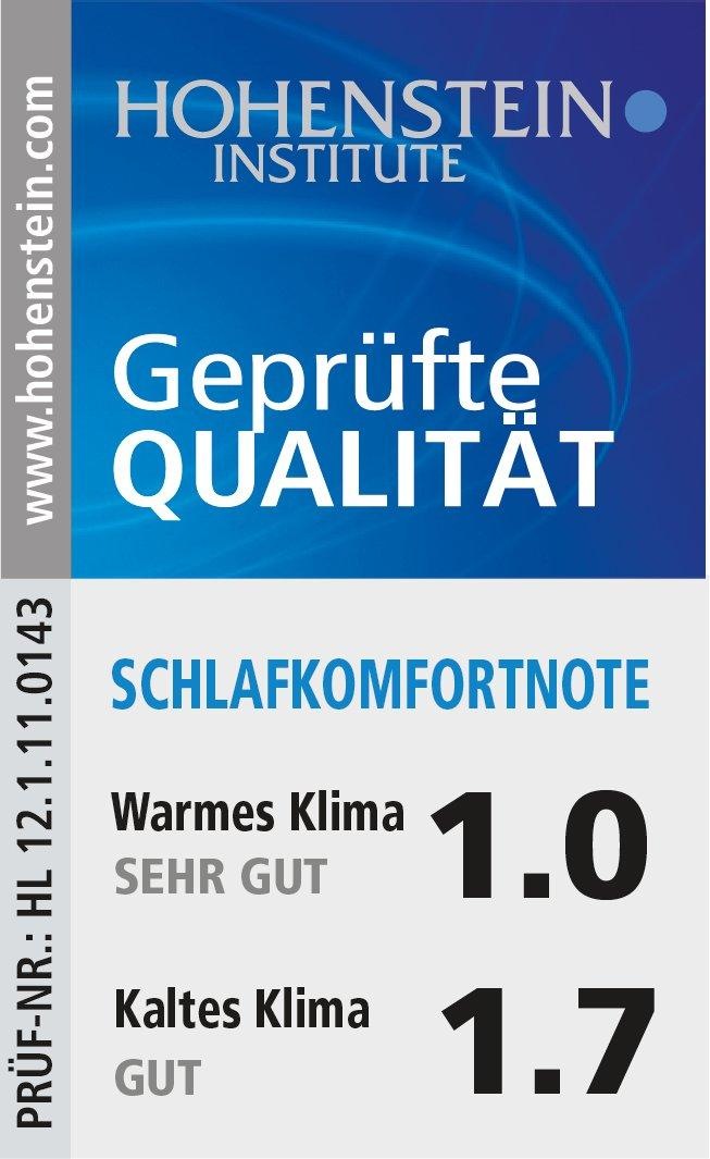 Haeussling Einziehdecke »Swiss Royal« leicht Füllung weisseneueDaunenundFedernKlasseI90Daunen10Federn 1 Stk. tlg.
