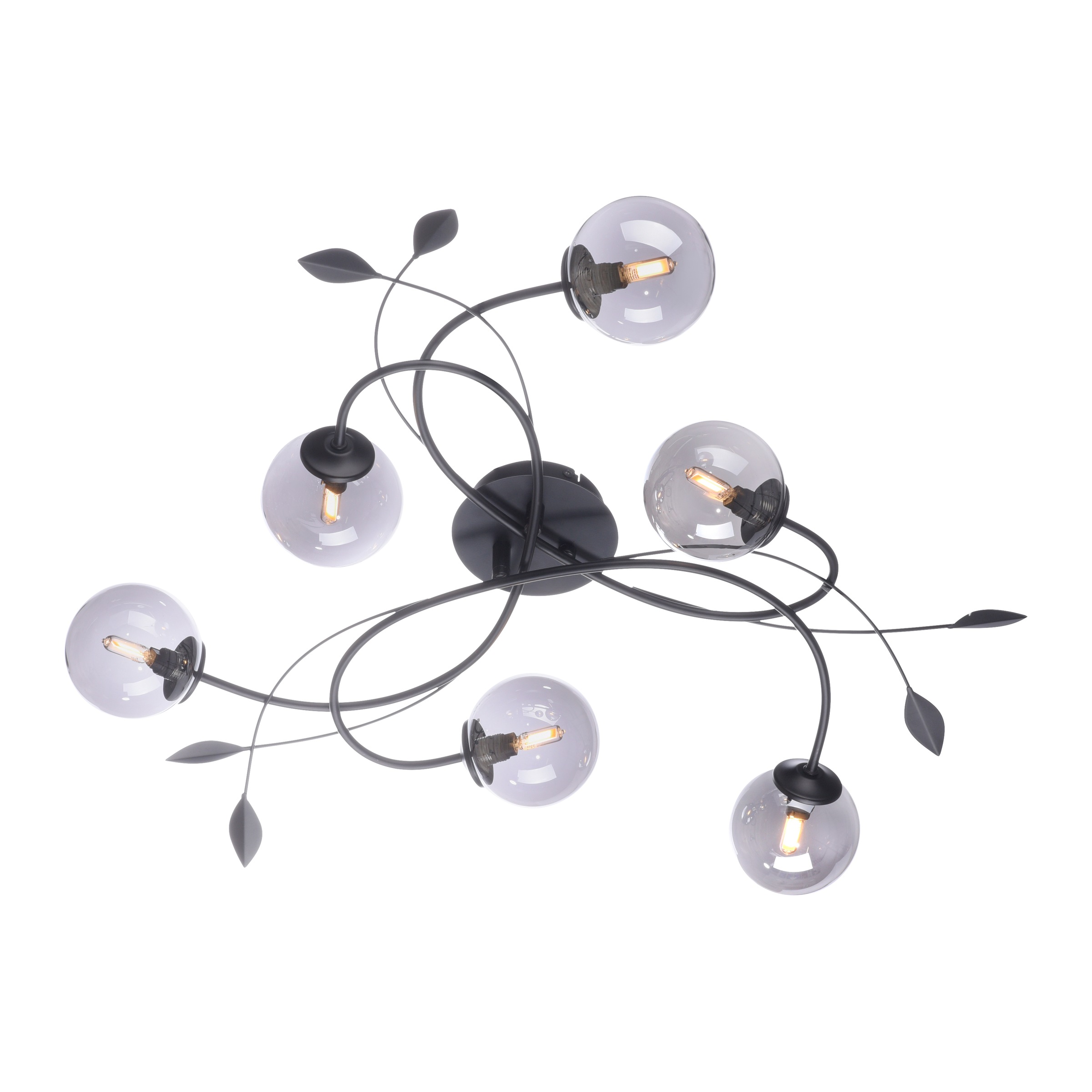 Paul Neuhaus Deckenleuchte LED Garantie LED »WIDOW«, | flammig-flammig, kaufen mit 6 online XXL Jahren 3
