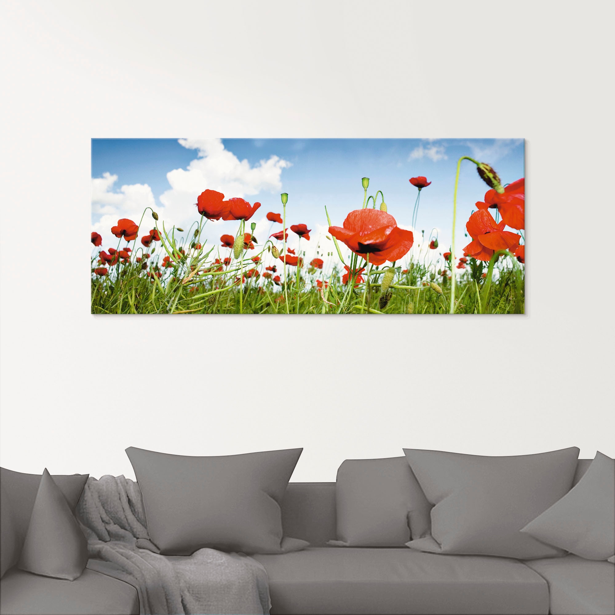 Artland Glasbild »Feld mit Blumenwiese, St.), kaufen auf Größen Raten Himmel«, verschiedenen Mohnblumen unter in (1