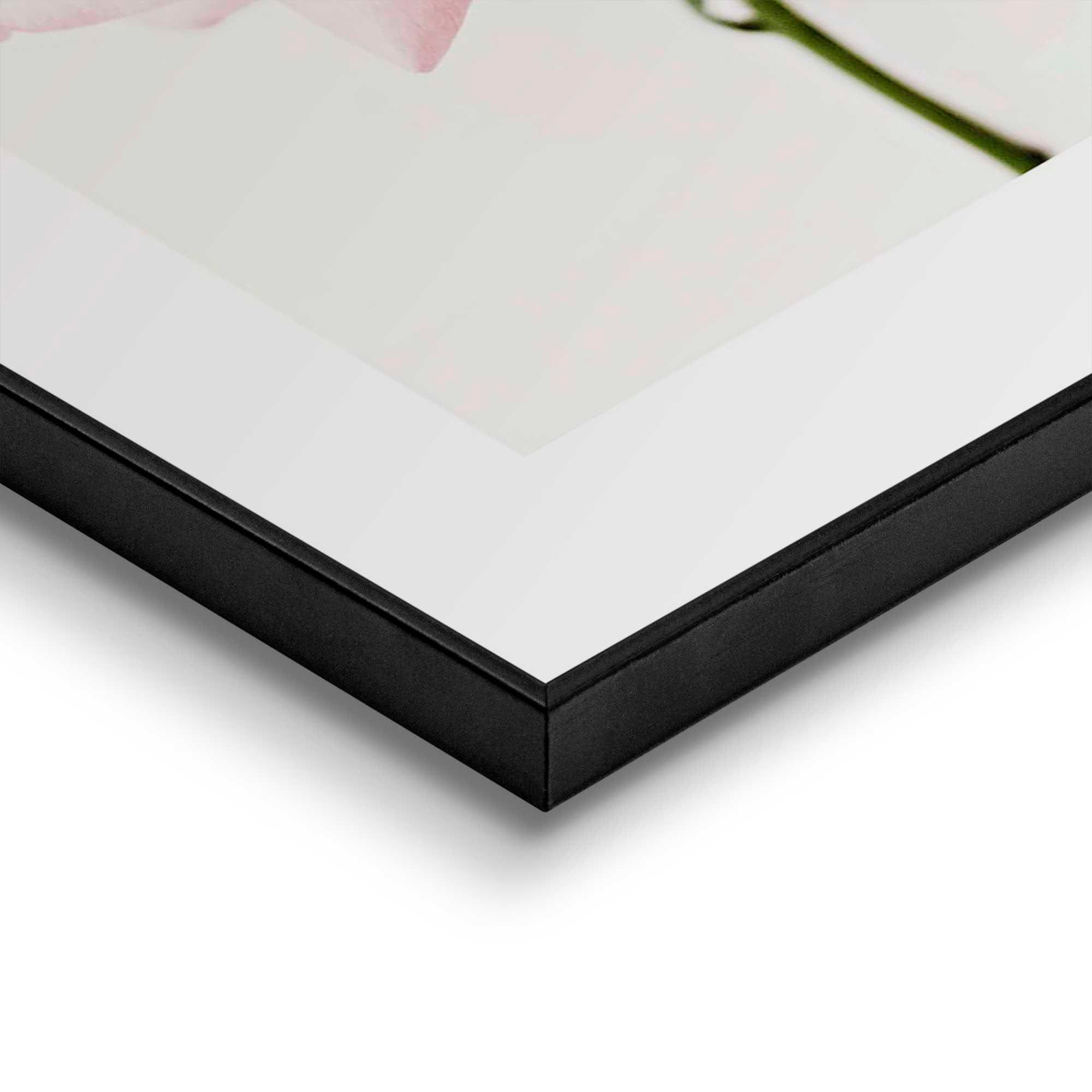 Reinders! Poster »Pfingstrose«